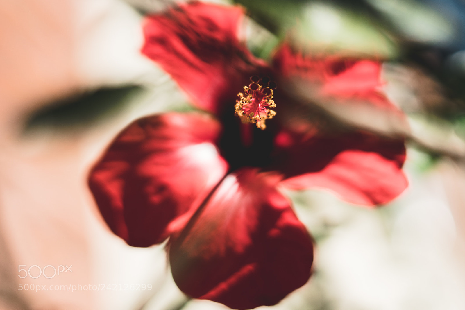 Sony a6500 sample photo. Dsc photography