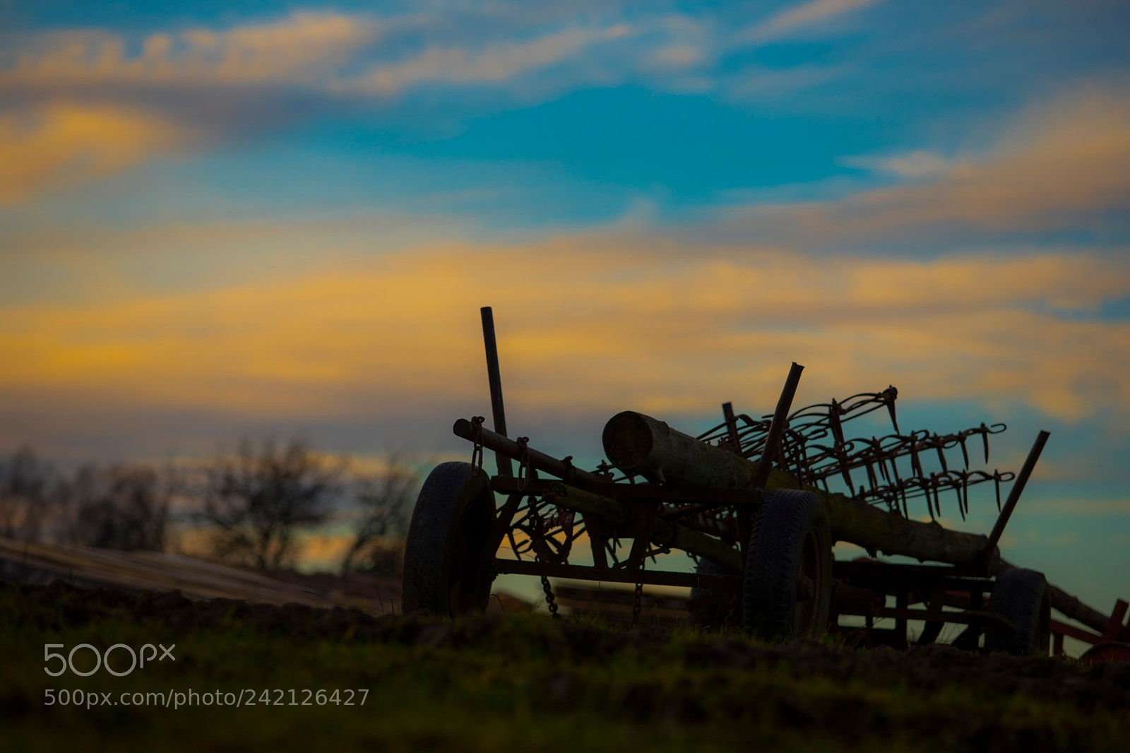 Canon EOS 6D Mark II sample photo. Untitled photography