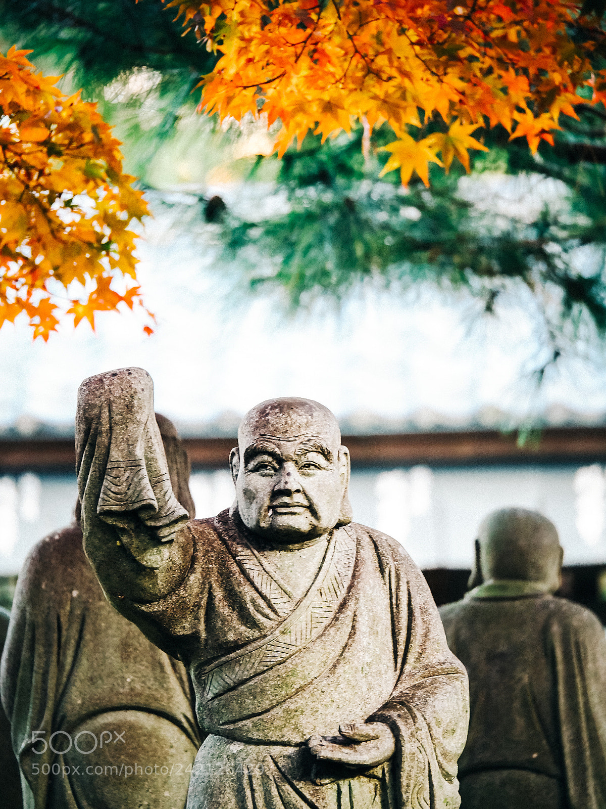 Olympus OM-D E-M10 II sample photo. Arashiyama arhat photography