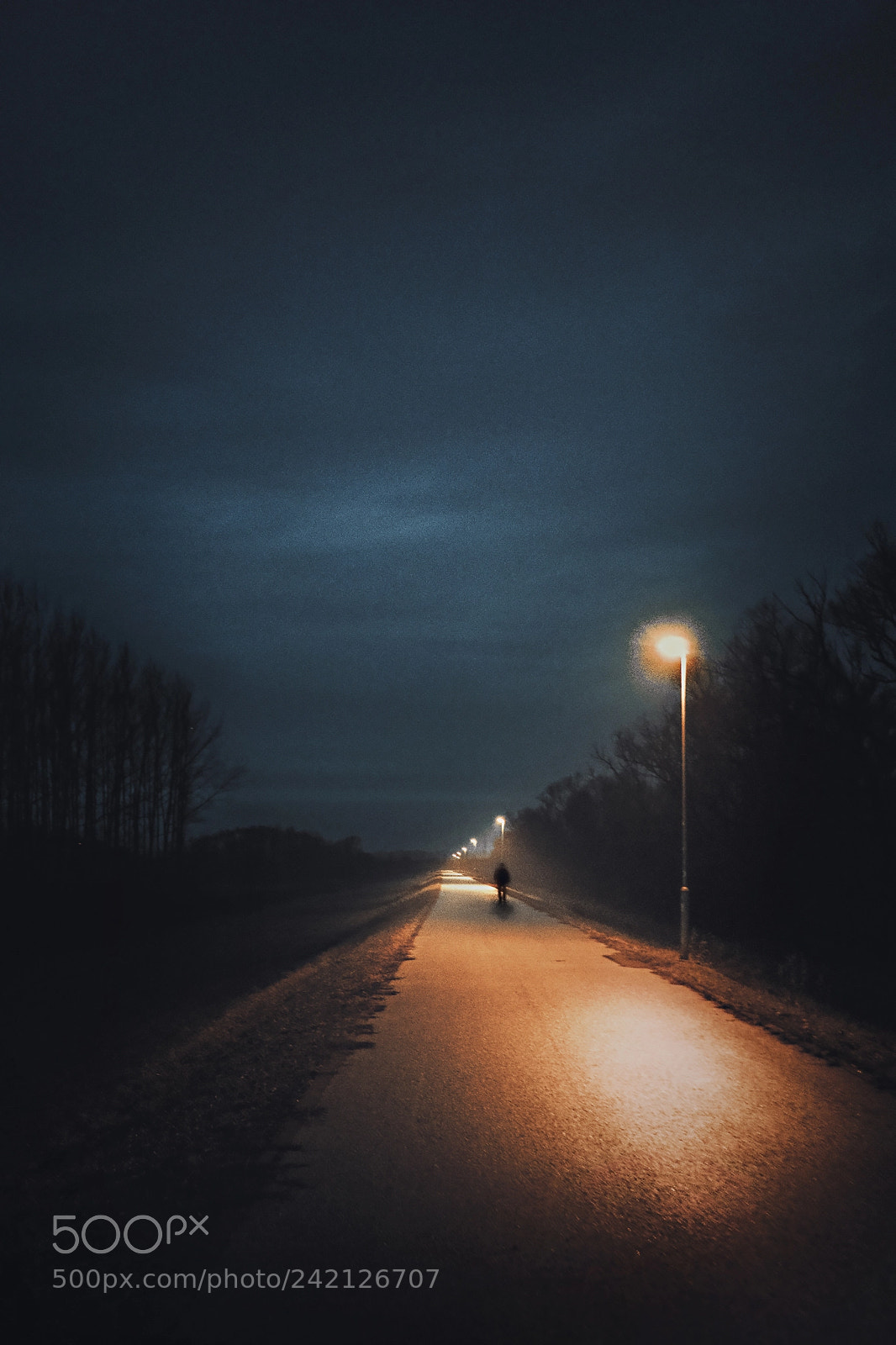 Sony a6500 sample photo. Stranger of the night photography
