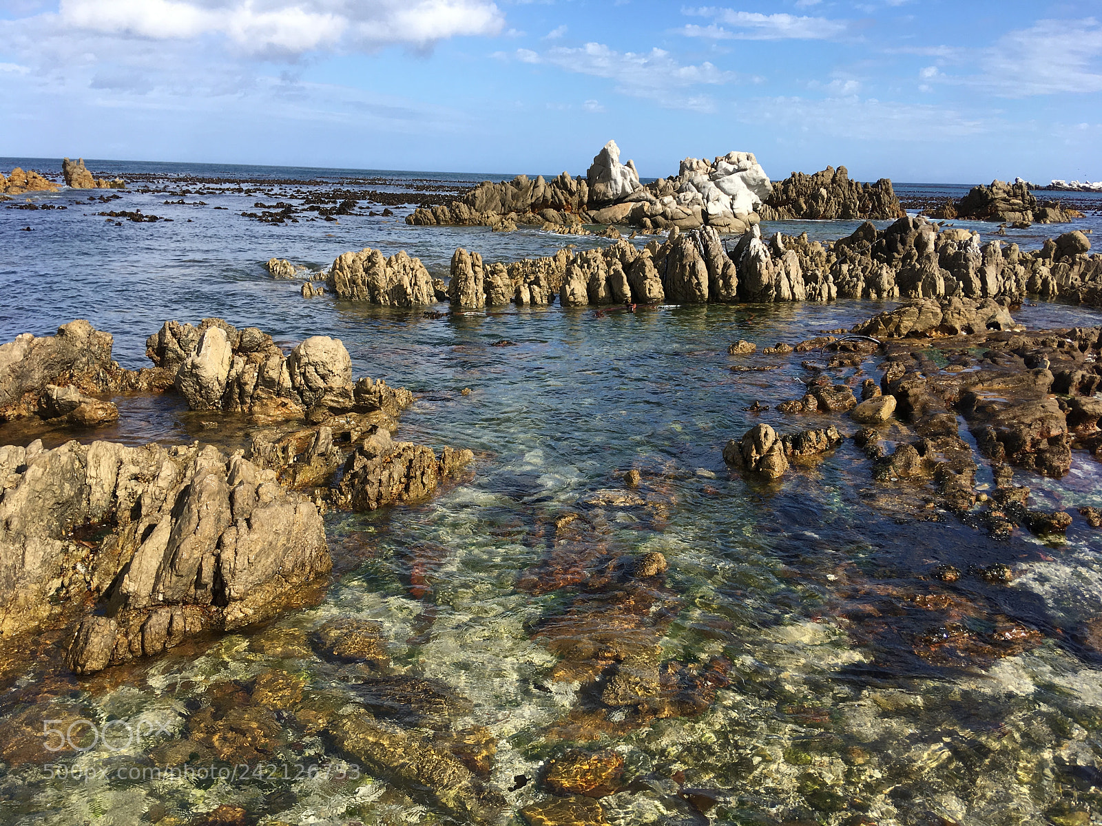 Apple iPhone SE sample photo. Betty’s bay photography