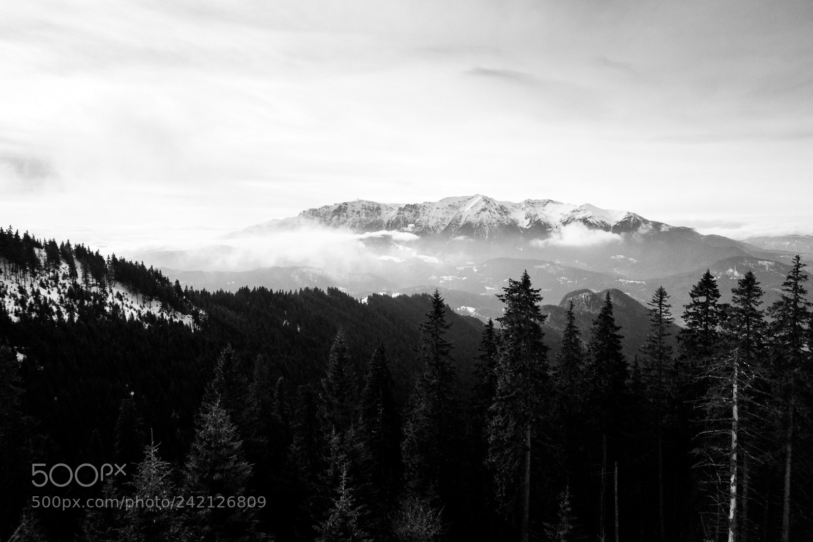 Samsung Galaxy S7 sample photo. Bucegi in b/w photography