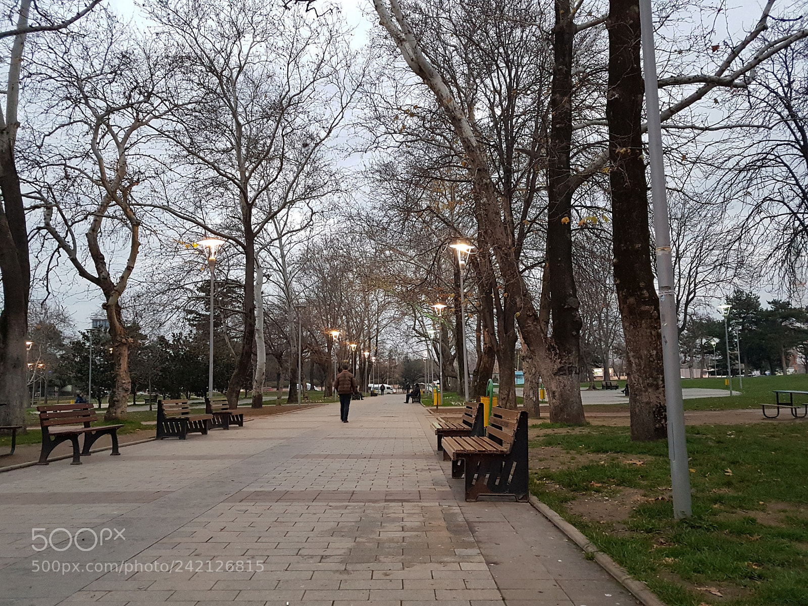 Samsung Galaxy S7 Edge sample photo. Untitled photography