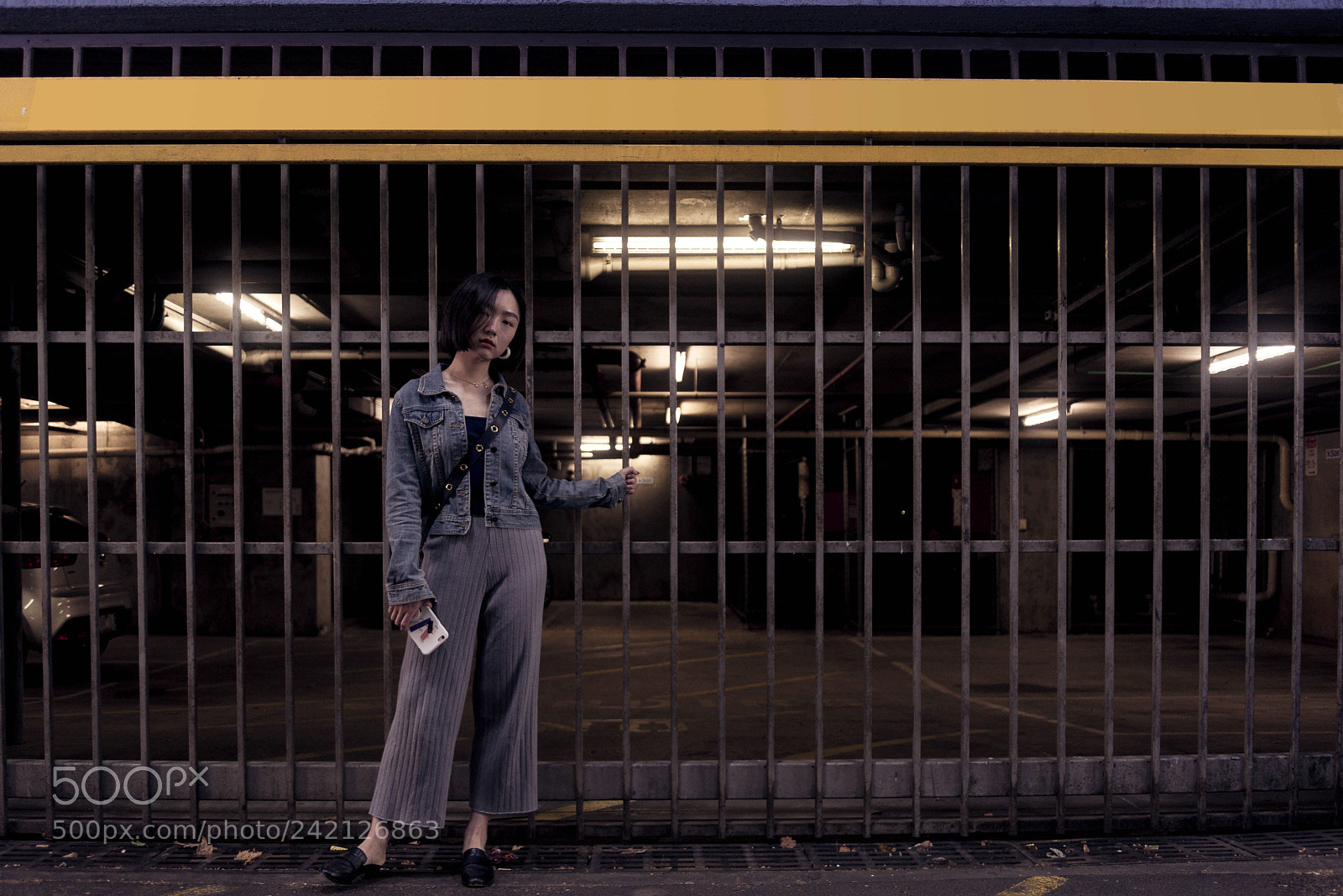 Nikon D810 sample photo. 牢笼 photography