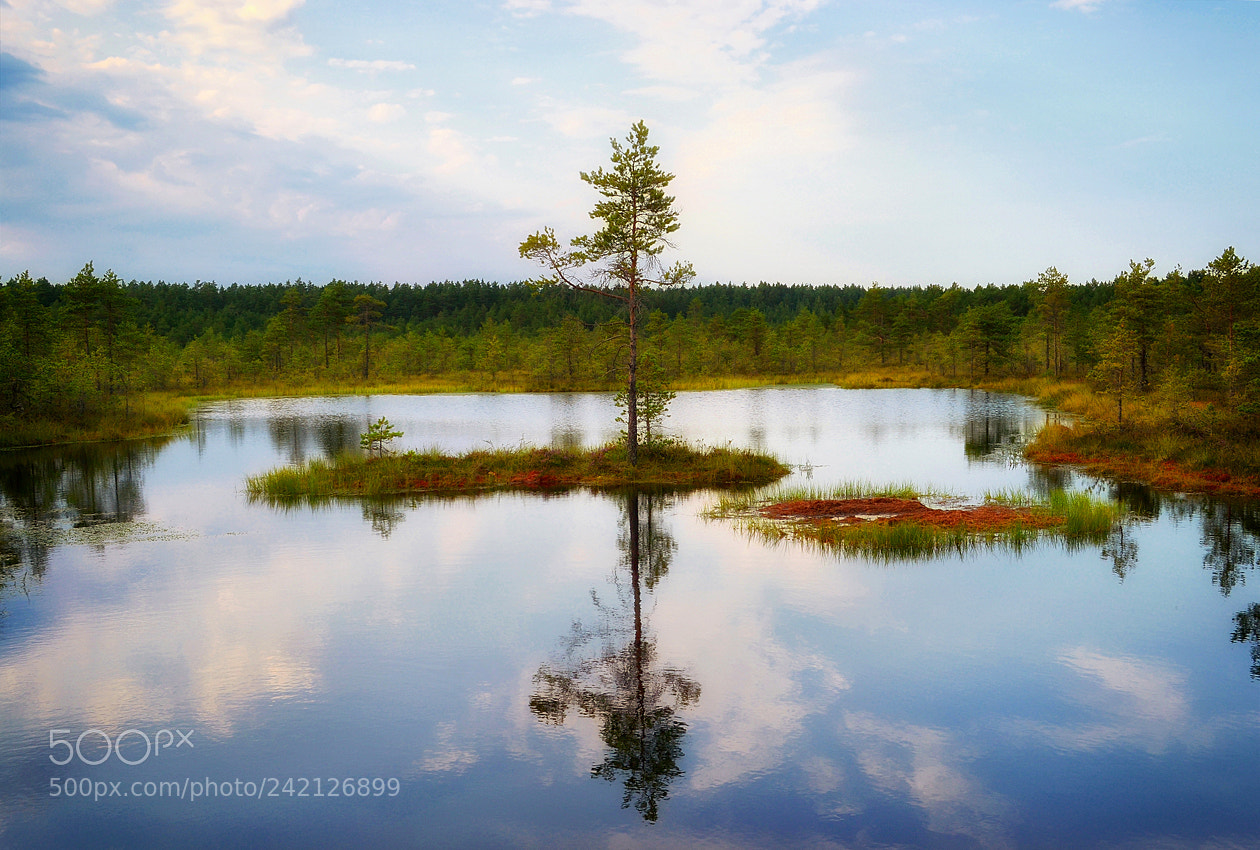 Nikon D3100 sample photo. Estonia photography