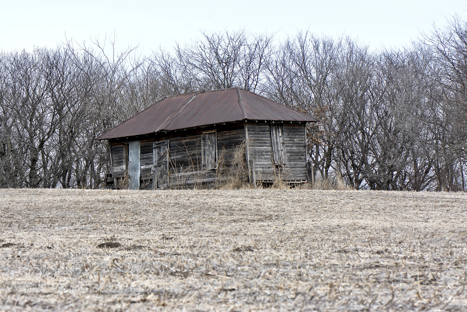 Nikon D7100 sample photo. Lonely shack photography