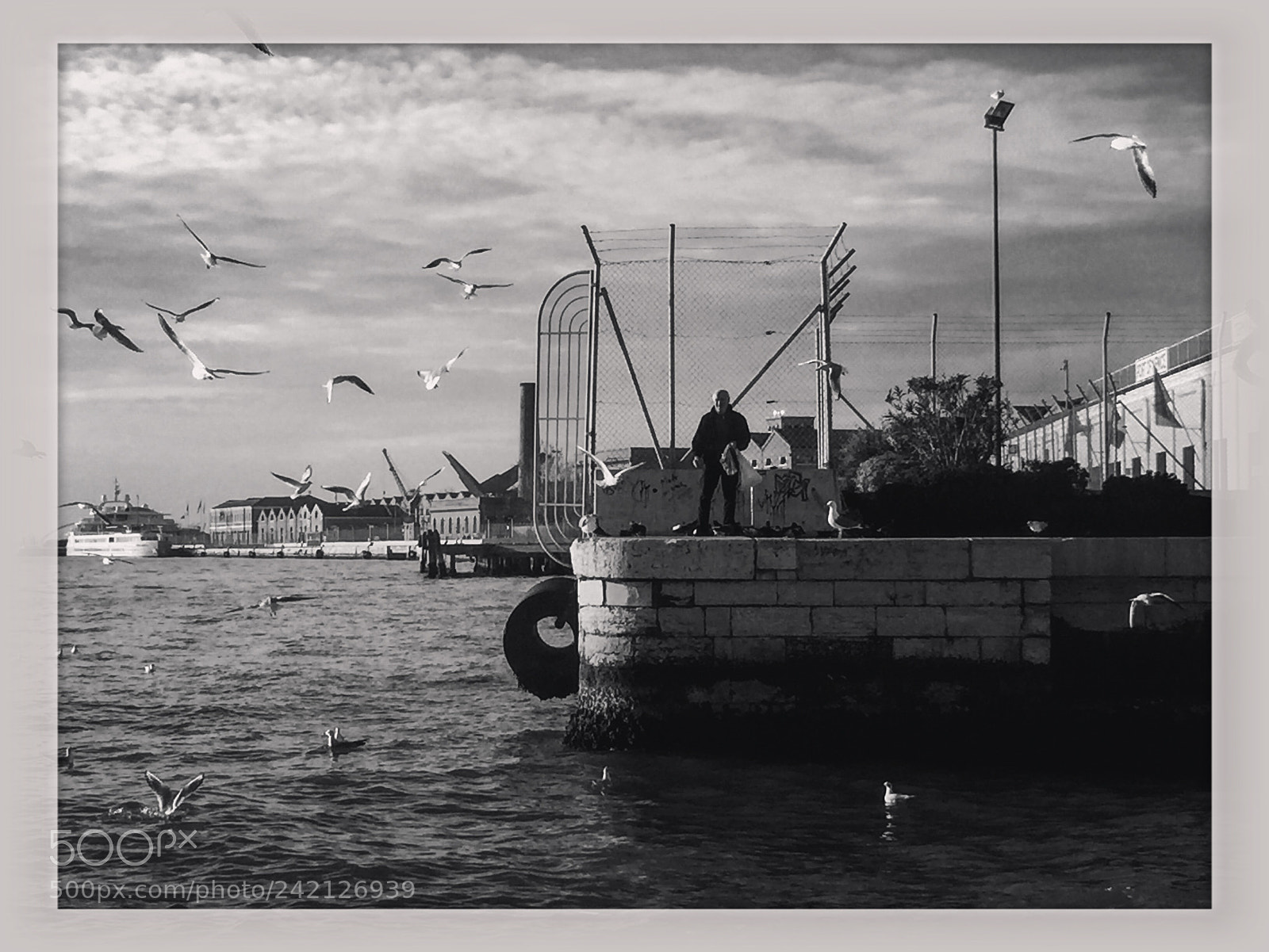Apple iPhone 6 sample photo. Venice photography