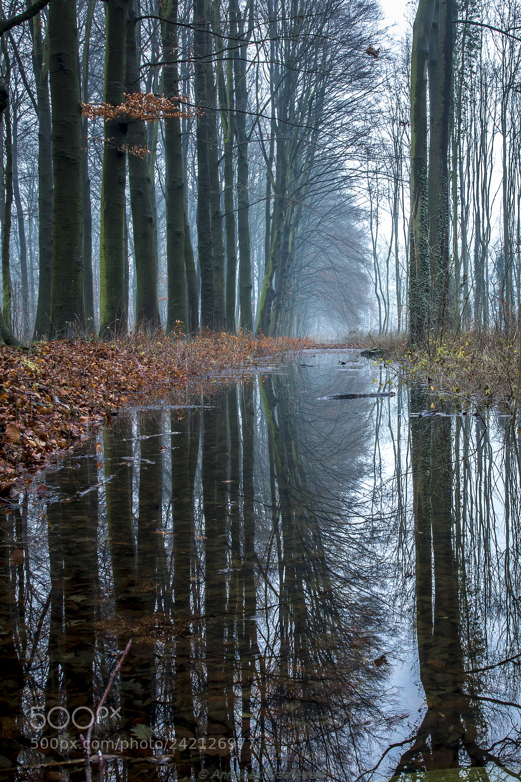 Canon EOS 6D Mark II sample photo. More water in the photography
