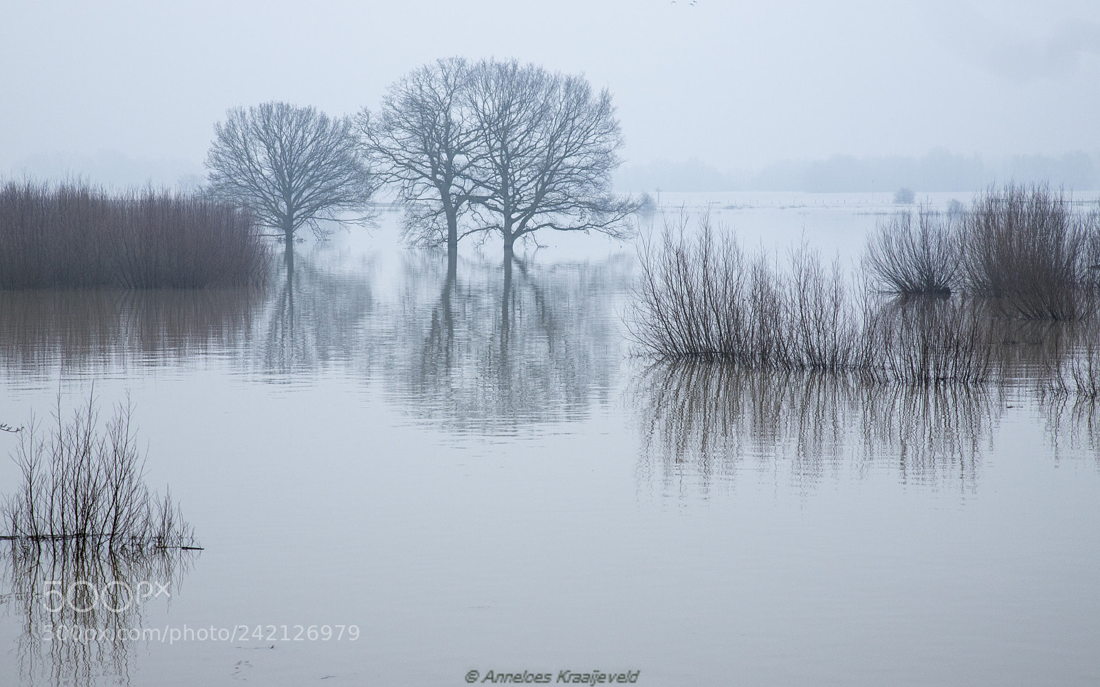 Canon EOS 6D Mark II sample photo. High water (waal) photography