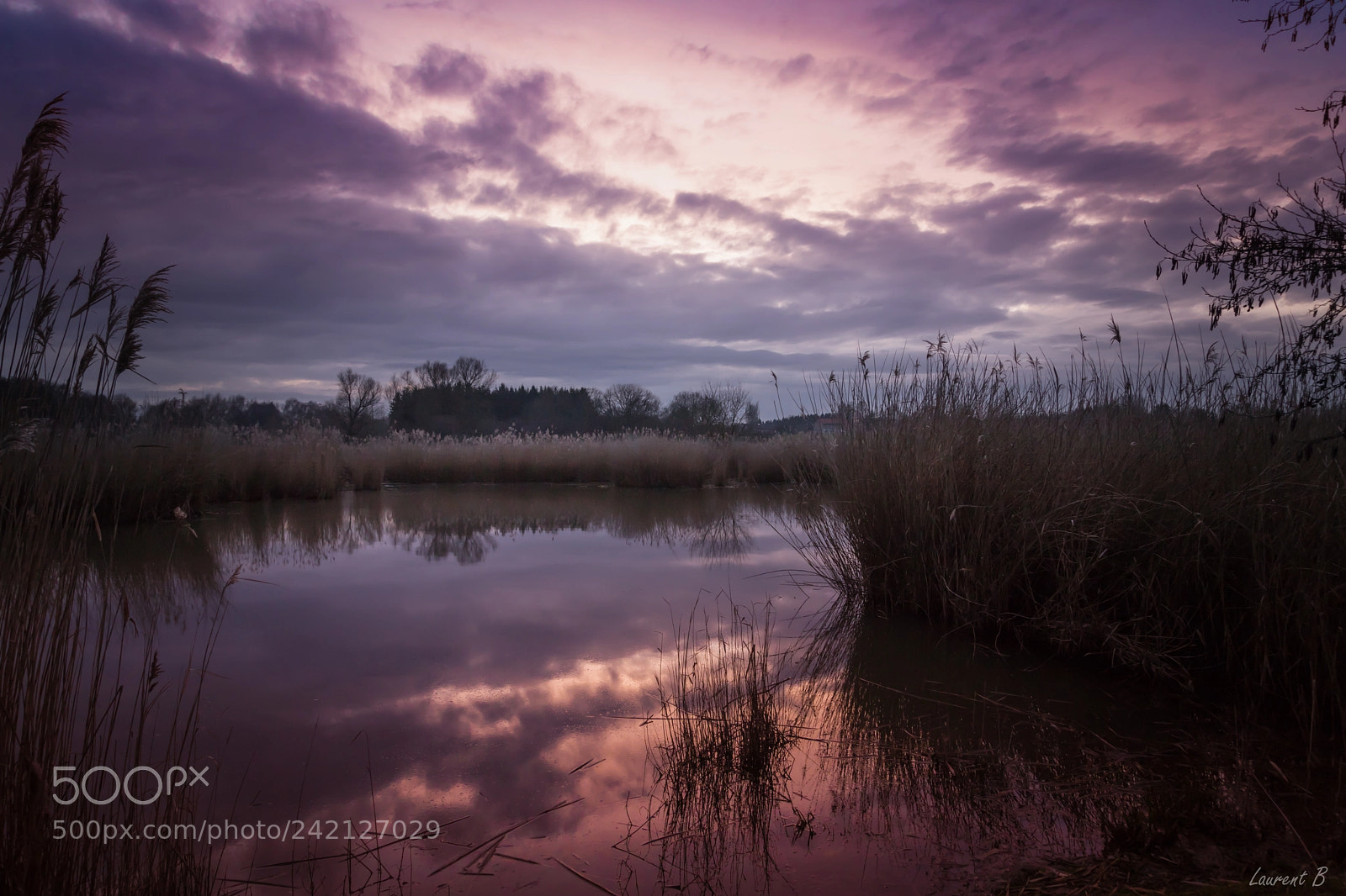 Canon EOS 6D Mark II sample photo. Pond photography