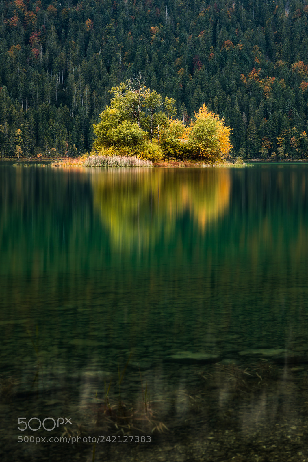 Canon EOS 5DS sample photo. Eibsee island autumn photography