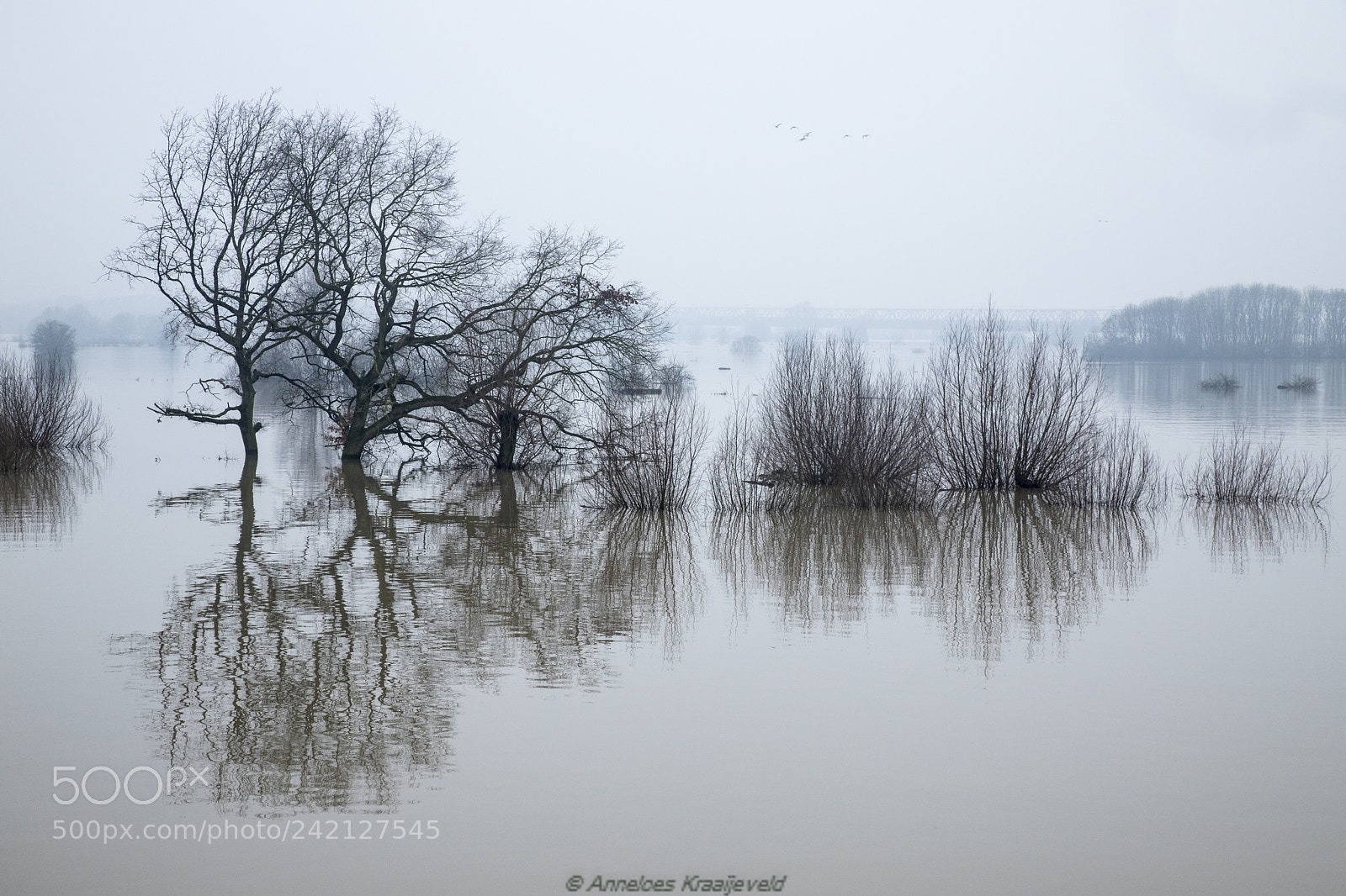 Canon EOS 6D Mark II sample photo. High water (waal) photography