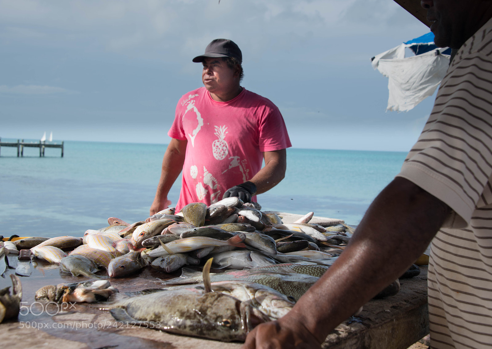 Nikon D850 sample photo. Bahamian fishman and his photography