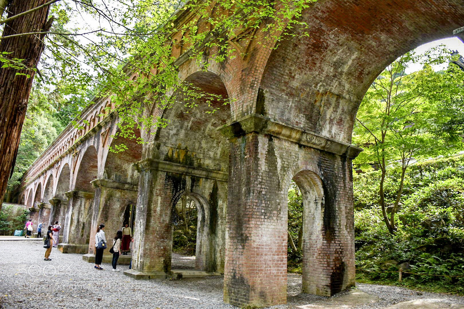 Nikon D5500 sample photo. Fragment of history photography