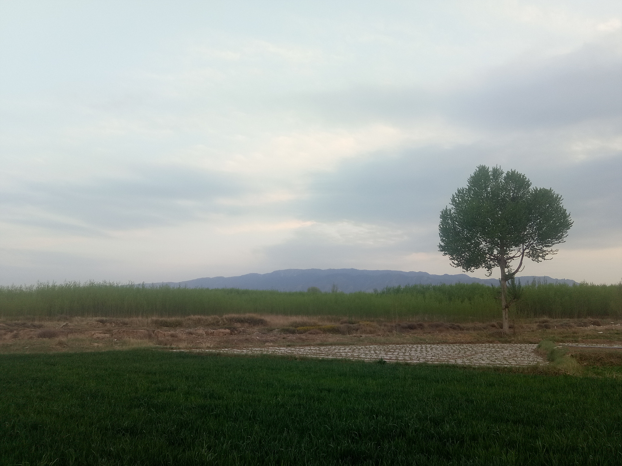 OPPO R9k sample photo