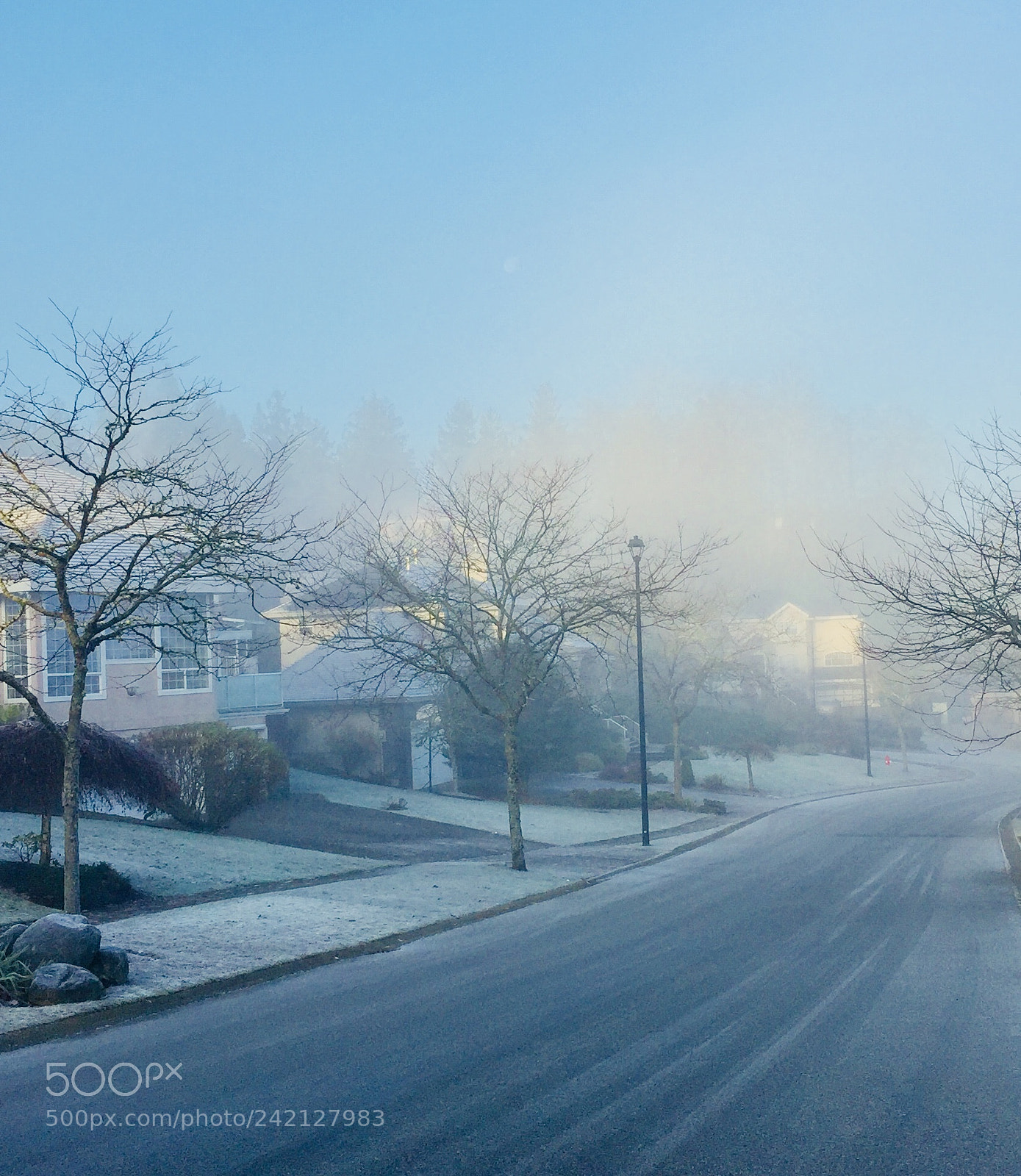 Apple iPhone 6 sample photo. A winter morning photography