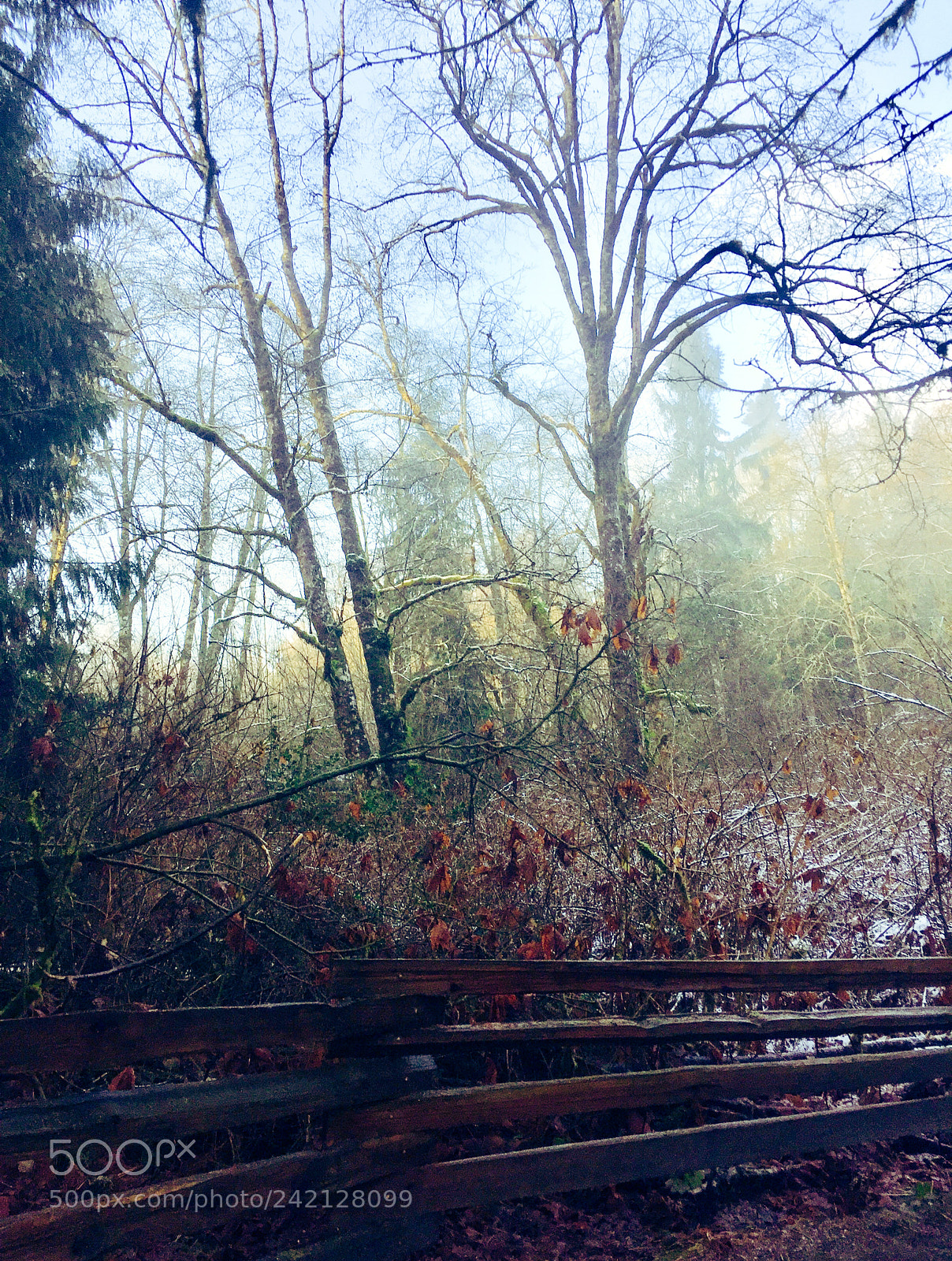 Apple iPhone 6 sample photo. Winter land photography