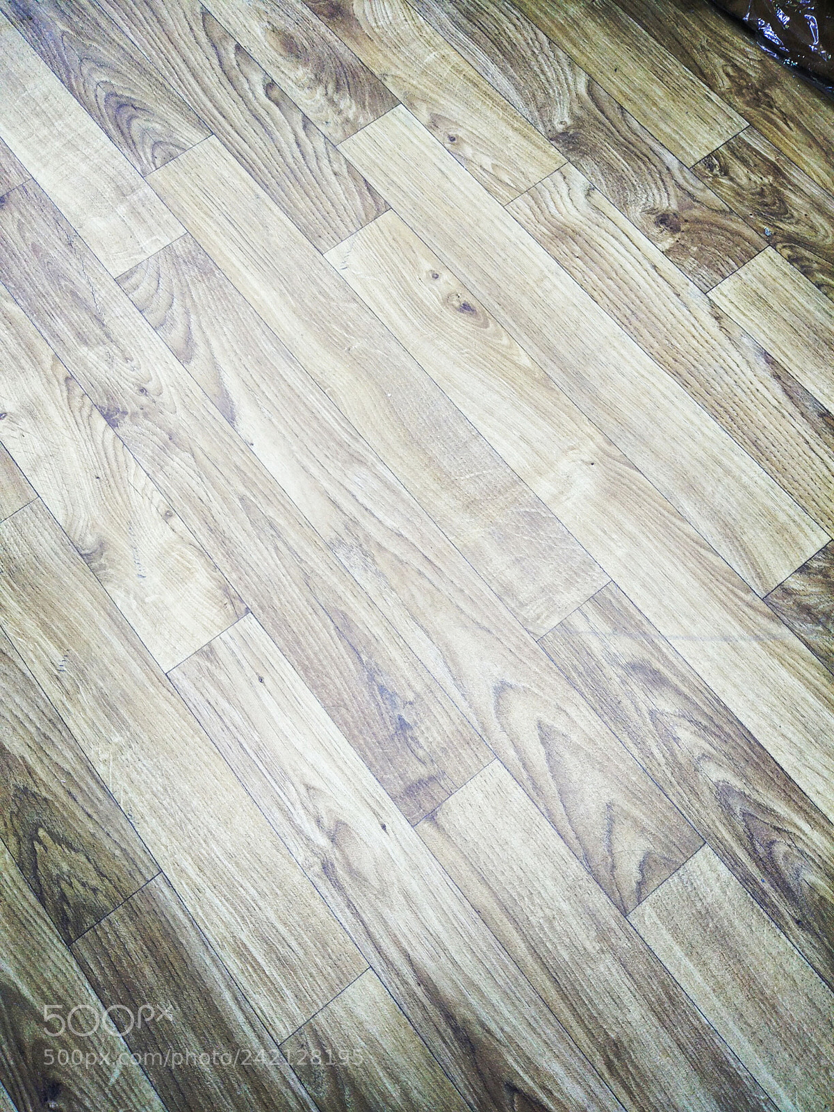 OPPO CPH1701 sample photo. Untitled photography
