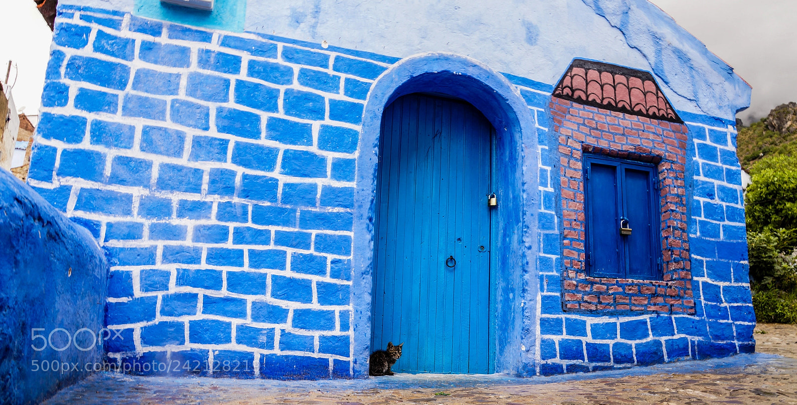 Sony SLT-A57 sample photo. Cat in chefchaouen, morocco photography