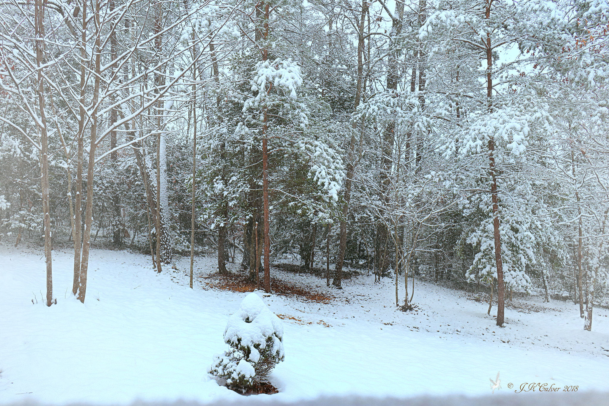 Canon EOS 77D (EOS 9000D / EOS 770D) sample photo. A winter wonderland photography