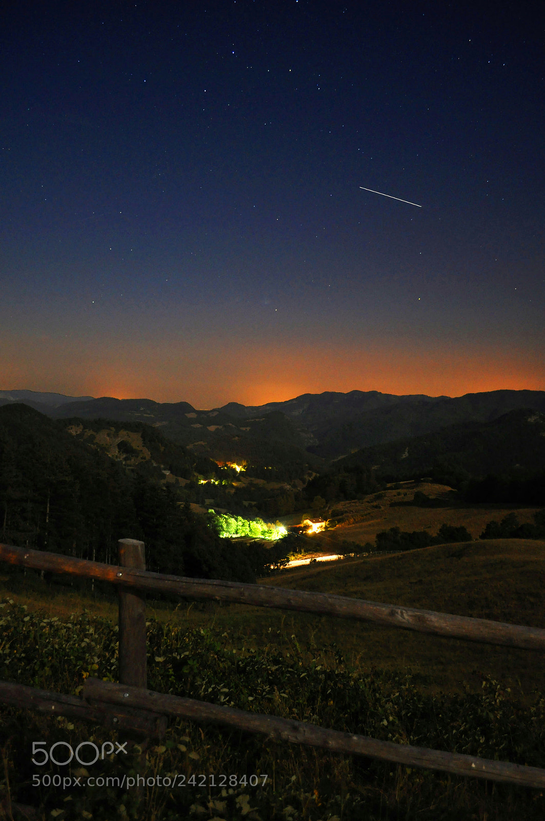 Nikon D5000 sample photo. Untitled photography