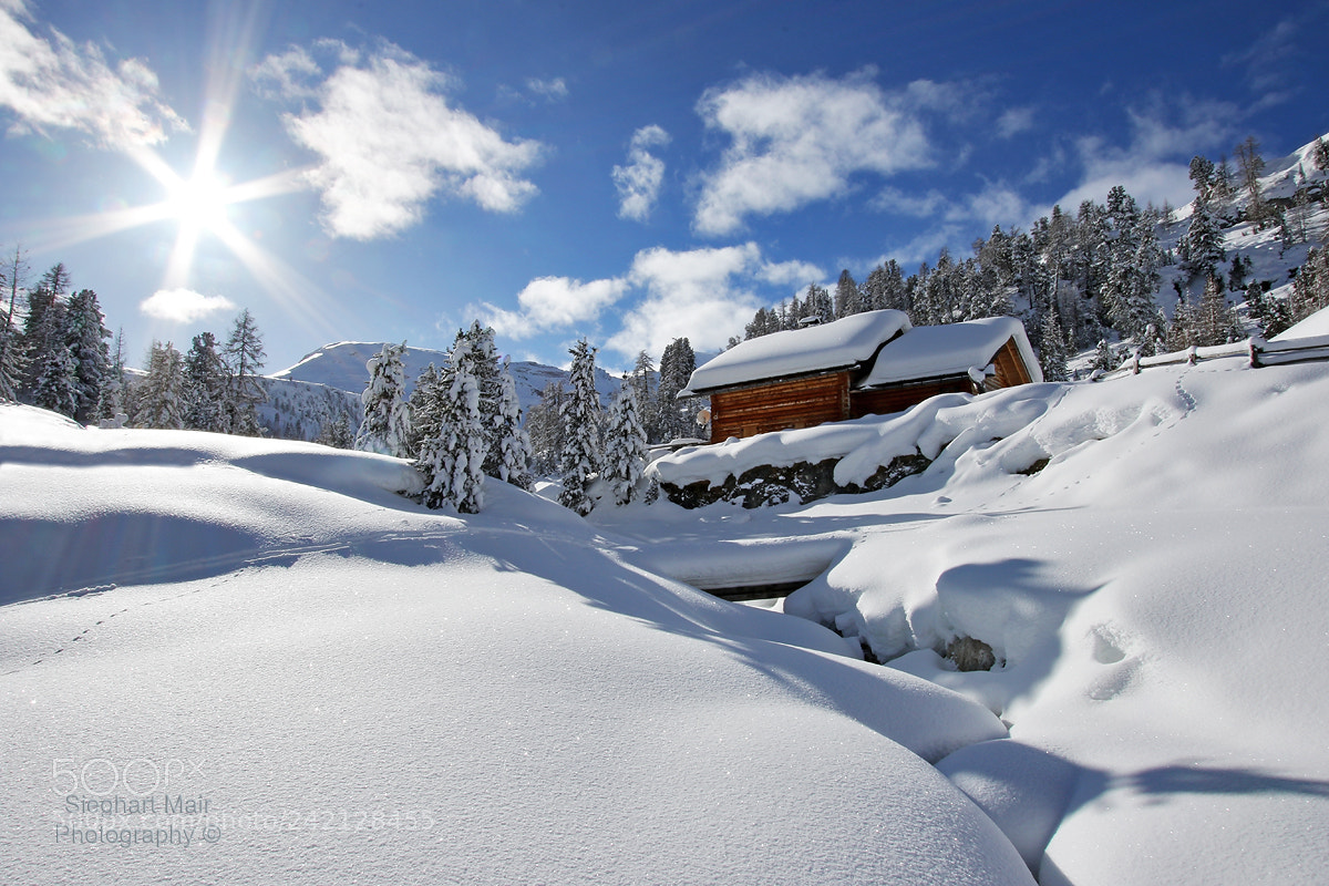 Canon EOS 7D Mark II sample photo. Winter dormancy photography