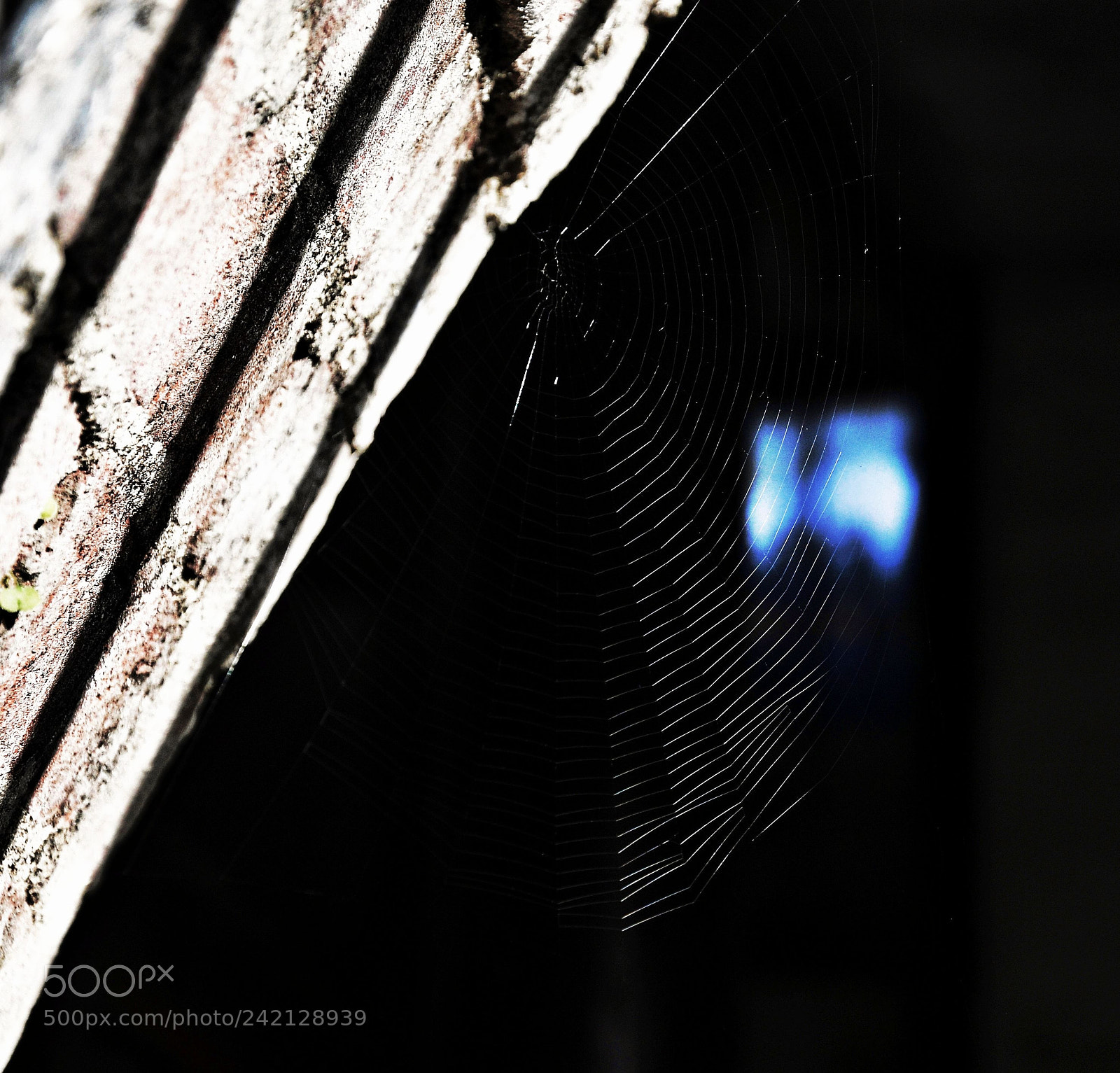 Nikon D300S sample photo. The cure - lullaby photography
