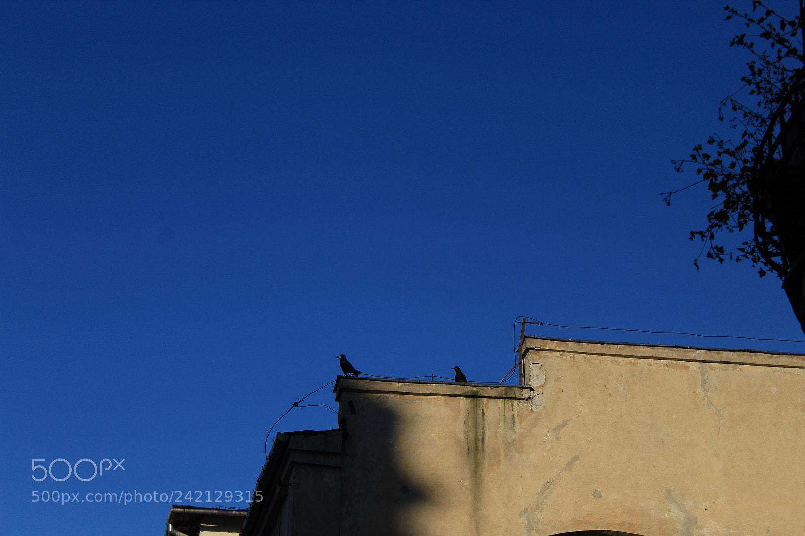 Canon EF-S 18-55mm F3.5-5.6 III sample photo. Untitled photography