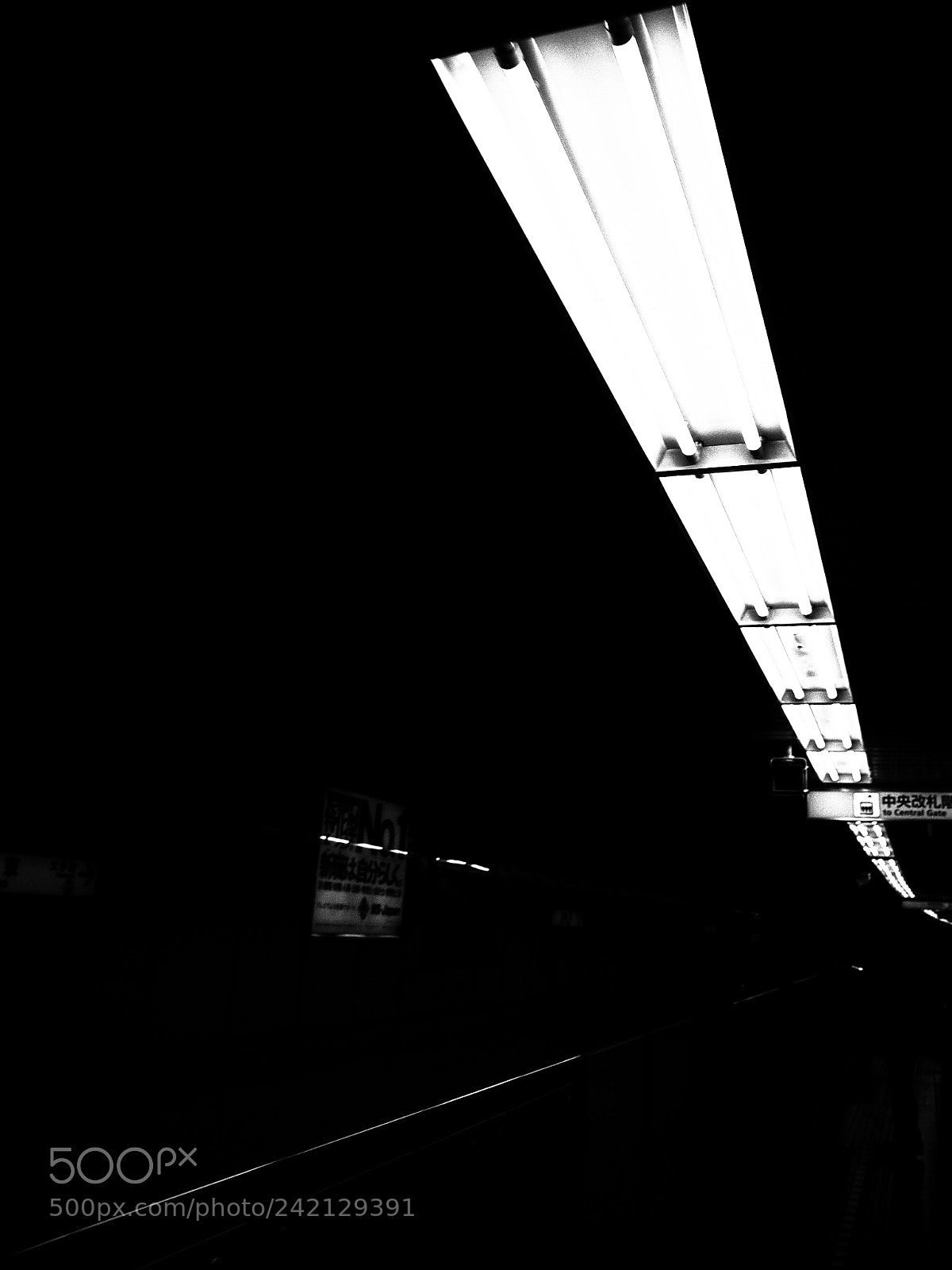 Ricoh GR II sample photo. Untitled photography