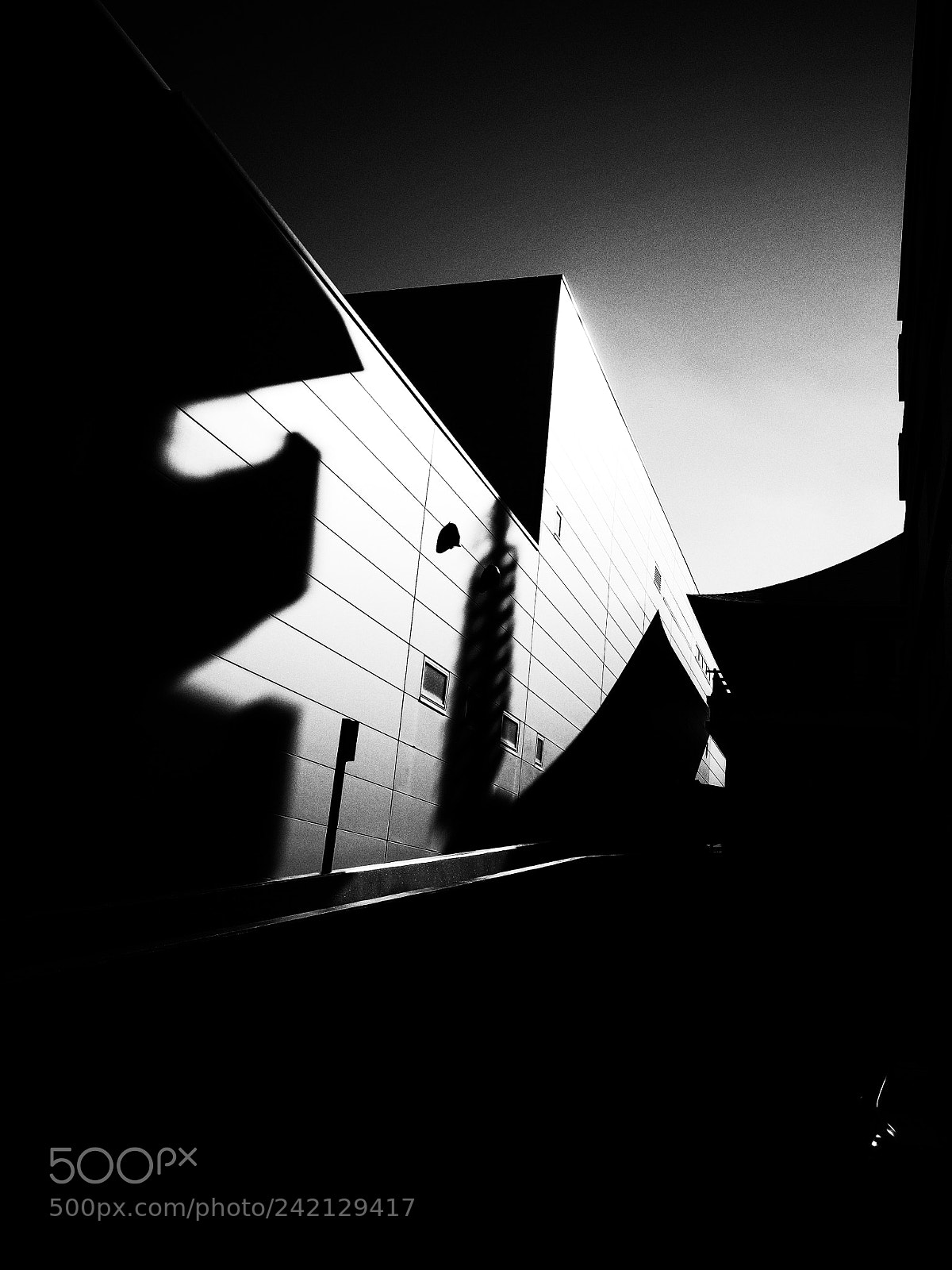 Ricoh GR II sample photo. Untitled photography