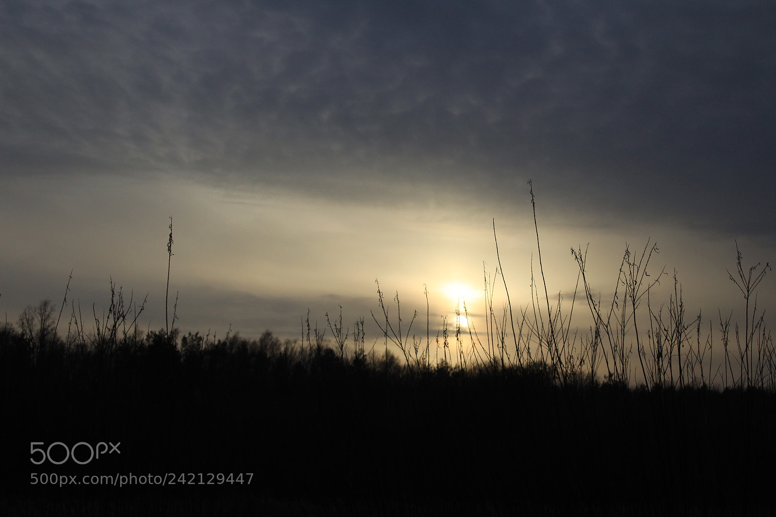 Canon EF-S 18-55mm F3.5-5.6 III sample photo. Evening photography