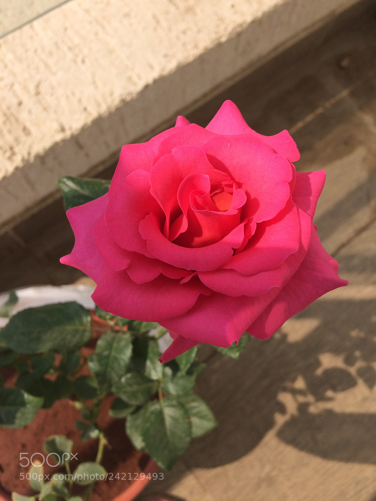 Apple iPhone 5s sample photo. Untitled photography