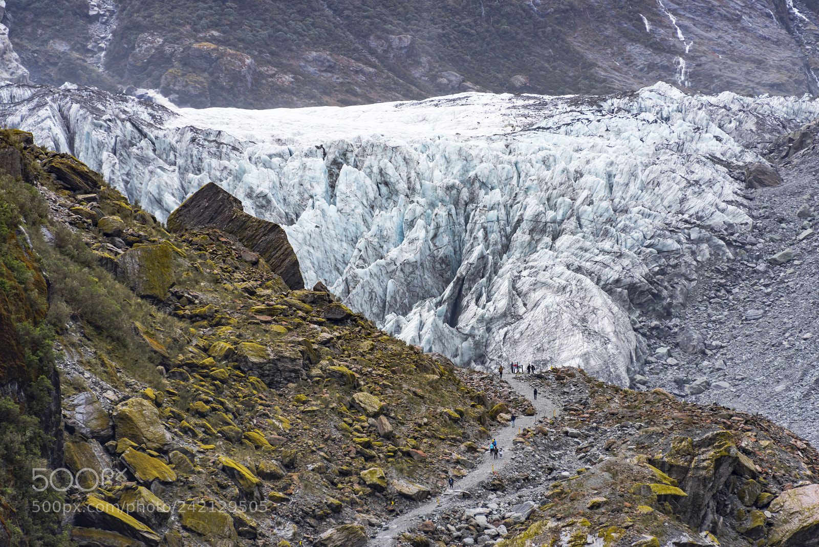 Nikon D810 sample photo. Fox glacier photography