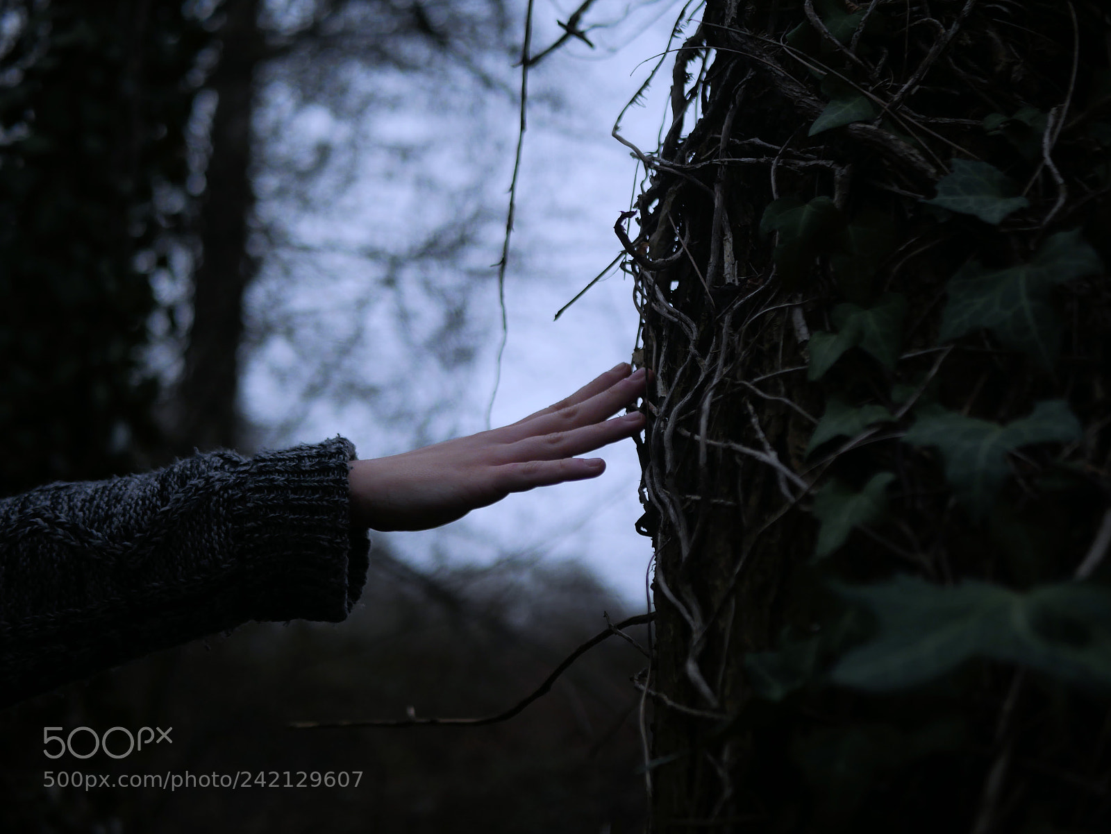 Panasonic Lumix DMC-GX85 (Lumix DMC-GX80 / Lumix DMC-GX7 Mark II) sample photo. Elise photography