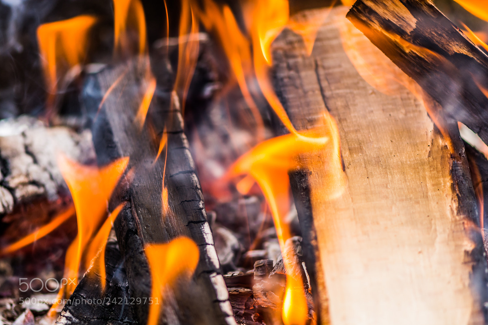 Nikon D7100 sample photo. Burning fire photography