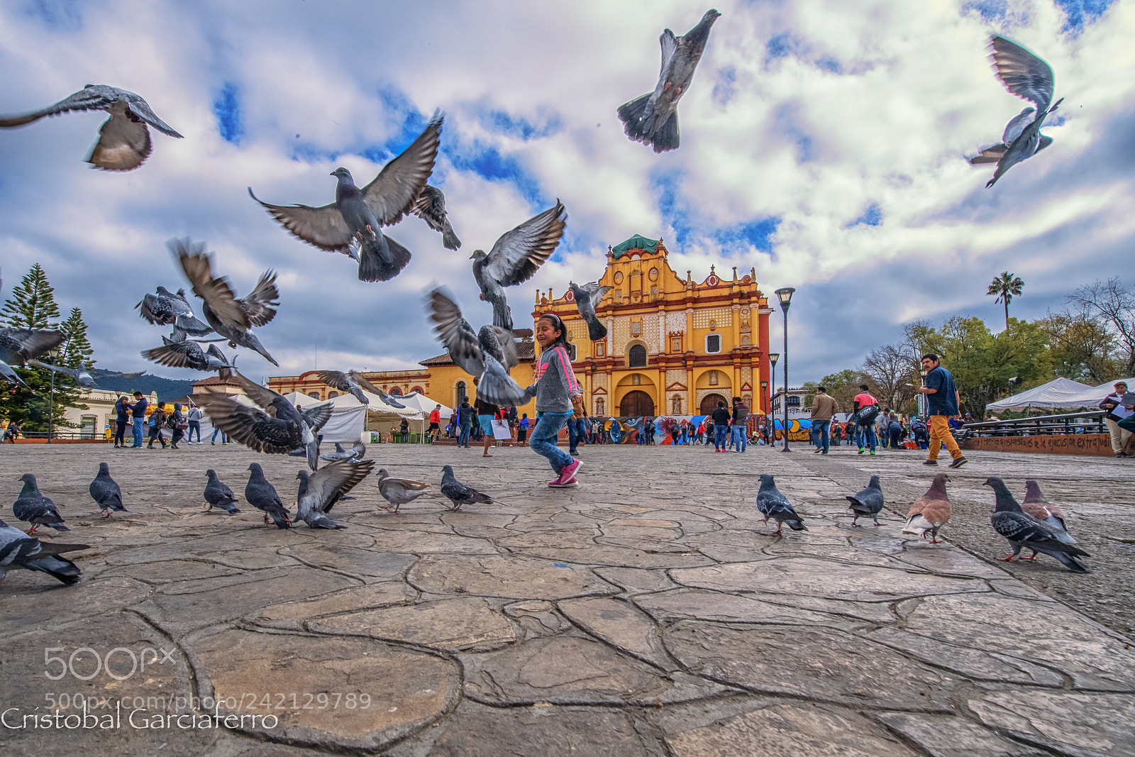 Nikon D5 sample photo. With the pigeons flying photography