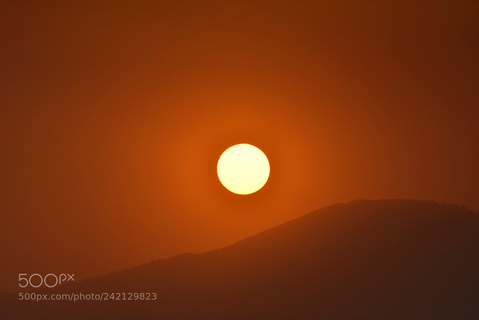 Nikon D7200 sample photo. This evening sunset photography