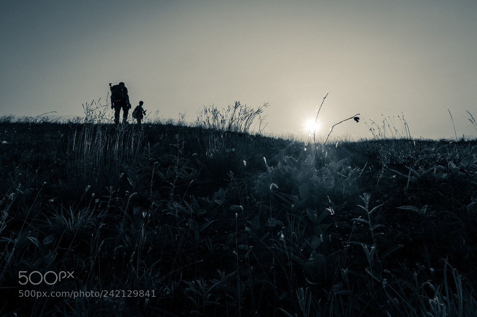 Nikon D800E sample photo. The sun nearby us photography