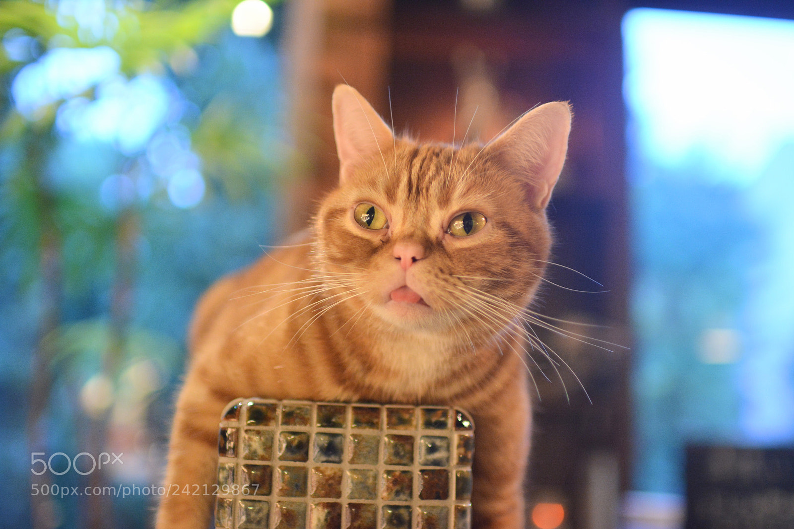 Nikon D7100 sample photo. Untitled photography