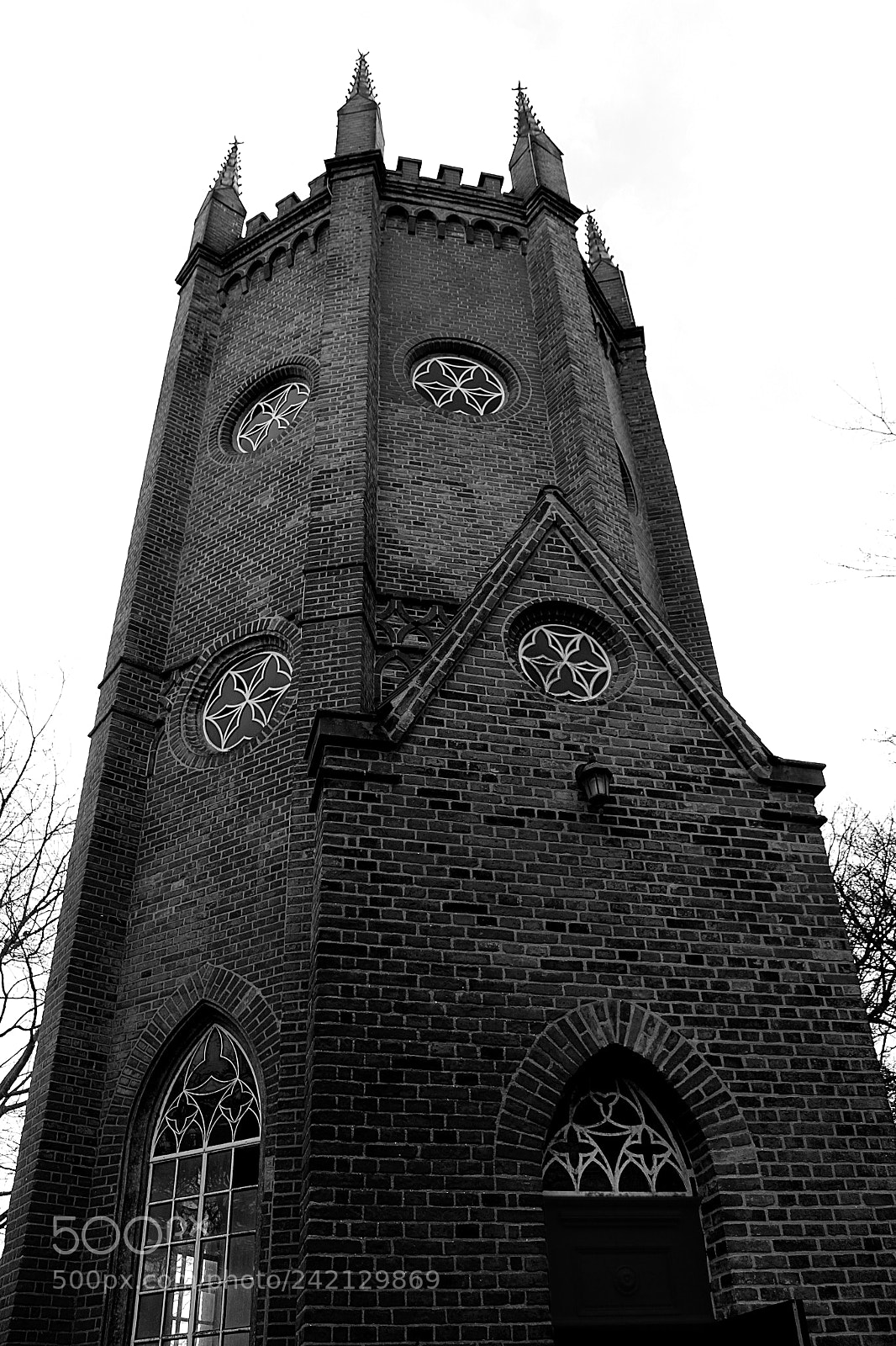 Canon EF-S 18-55mm F3.5-5.6 III sample photo. Looking up at the photography