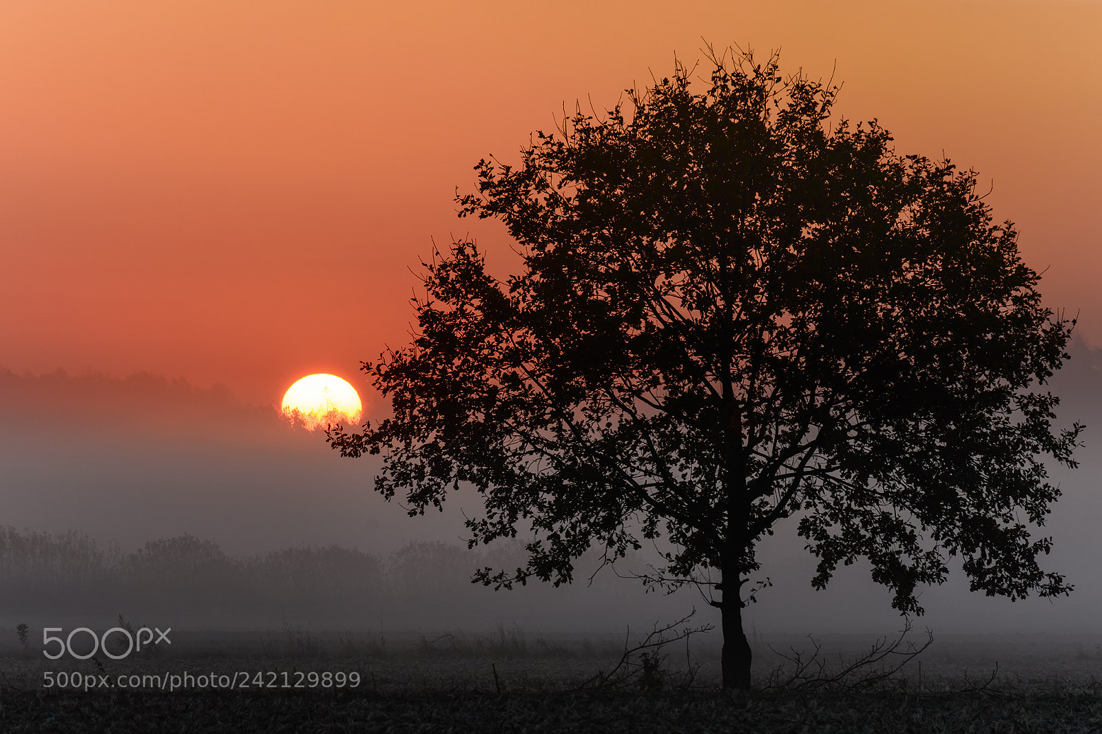 Nikon D7200 sample photo. One more sunrise photography