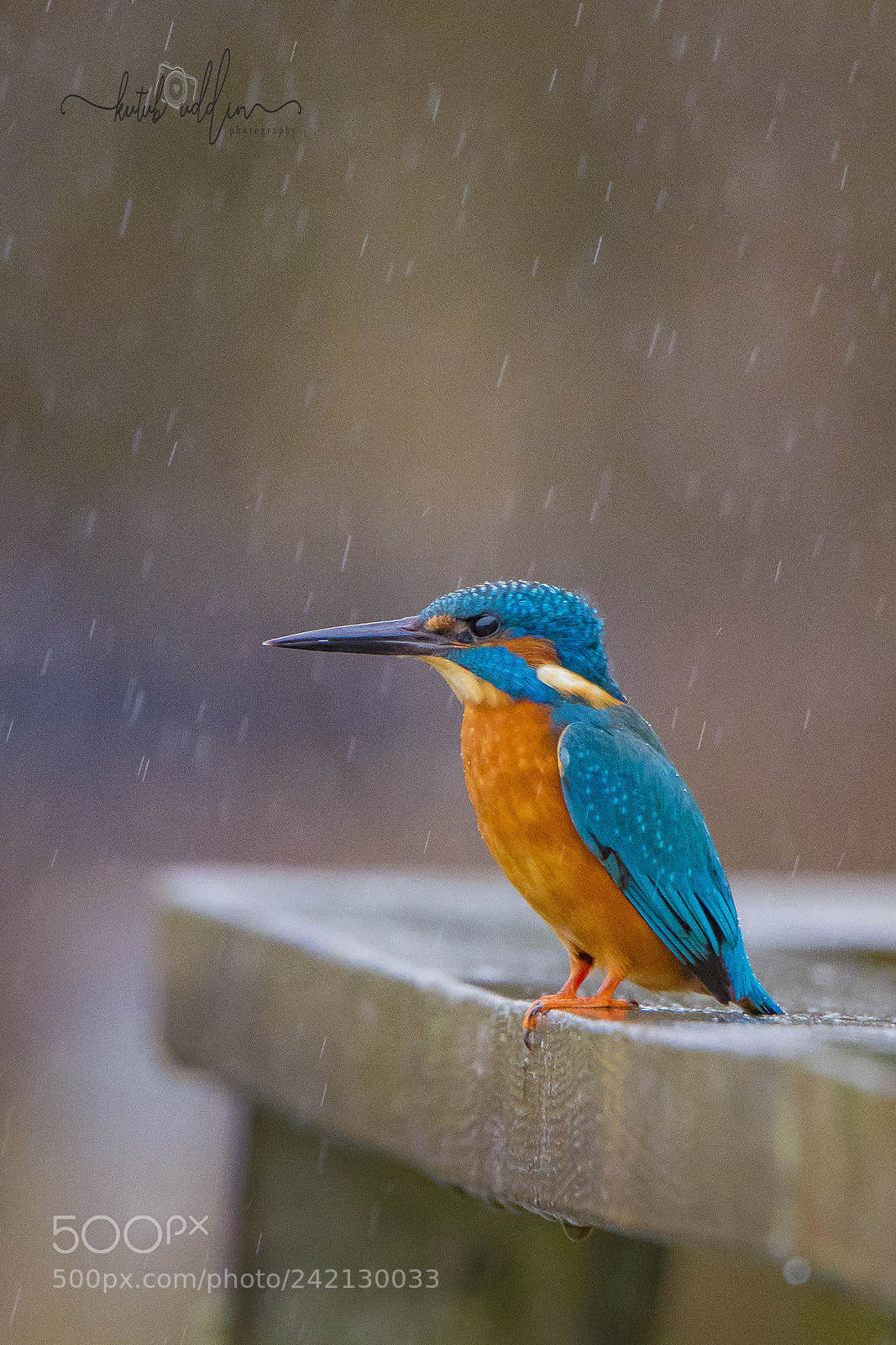 Canon EOS 7D Mark II sample photo. A boring rainy day photography