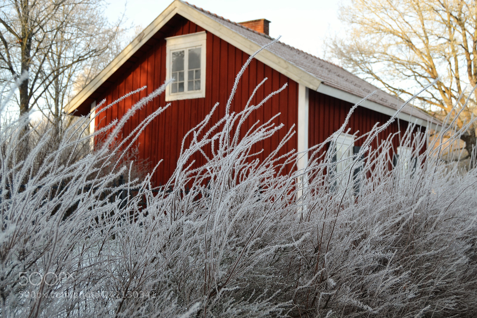 Nikon D3100 sample photo. () photography