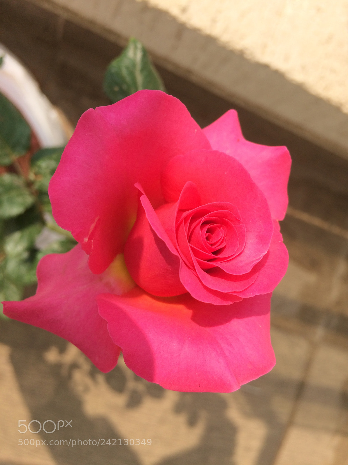 Apple iPhone 5s sample photo. Untitled photography