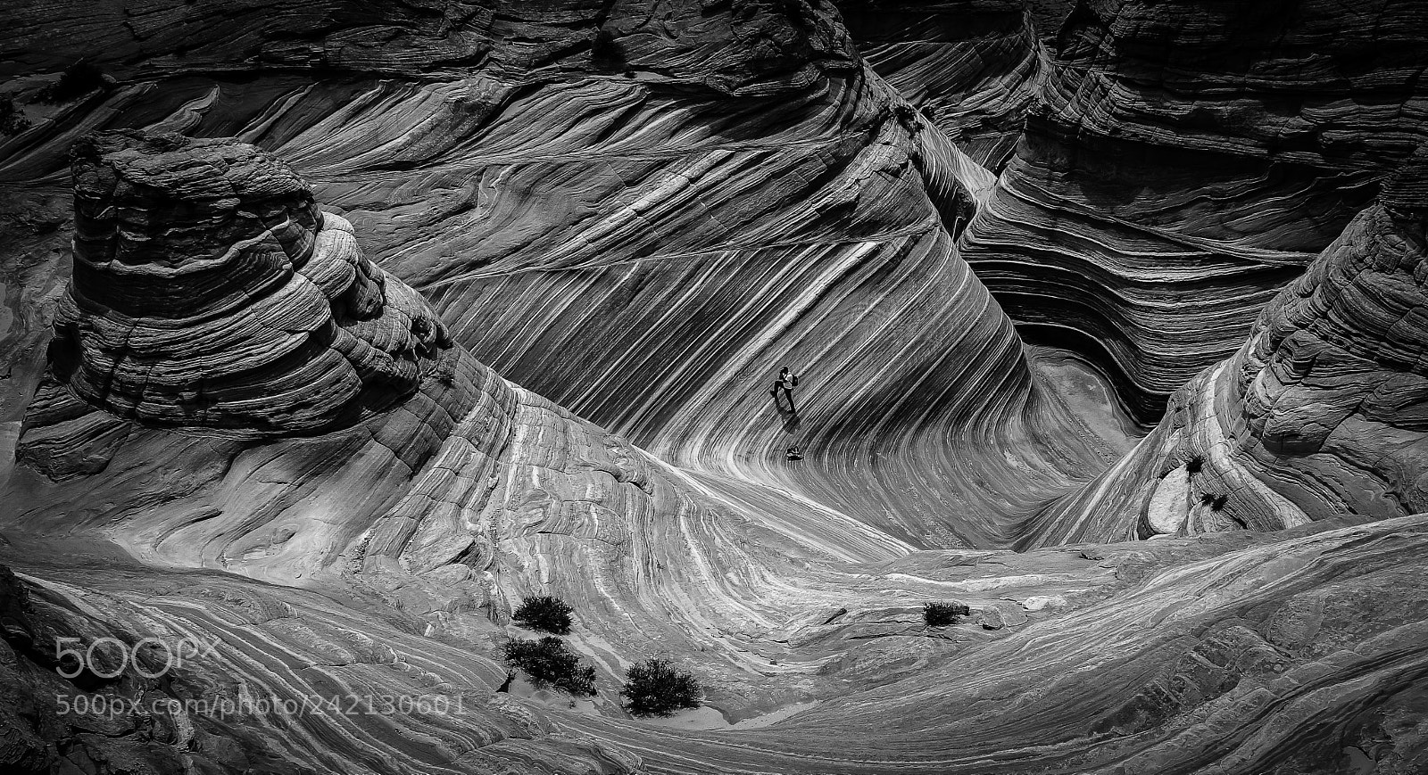 Sony SLT-A77 sample photo. Artist facing beauty photography