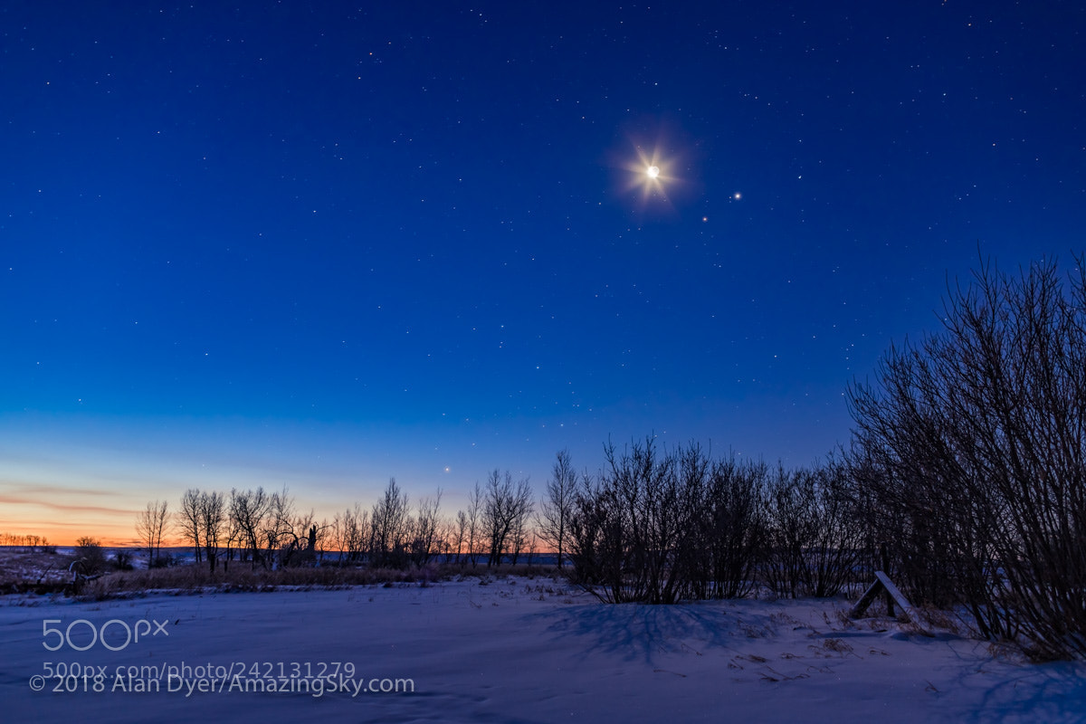 Canon EOS 6D Mark II sample photo. The waning moon with photography