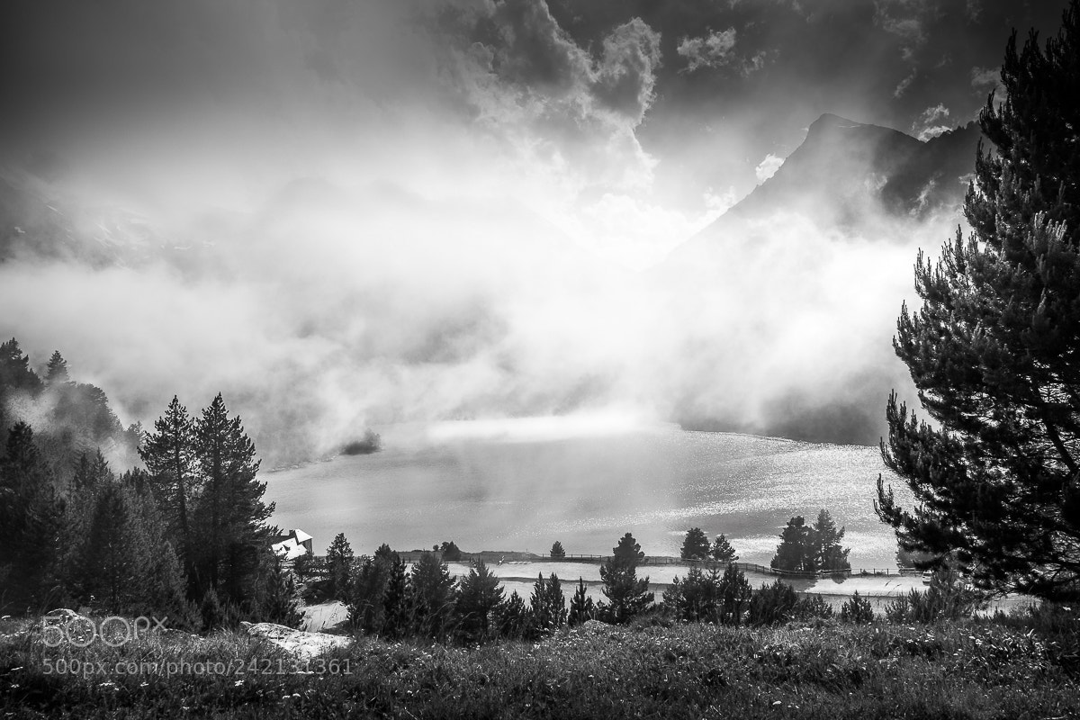 Nikon D5500 sample photo. Or don lake in photography