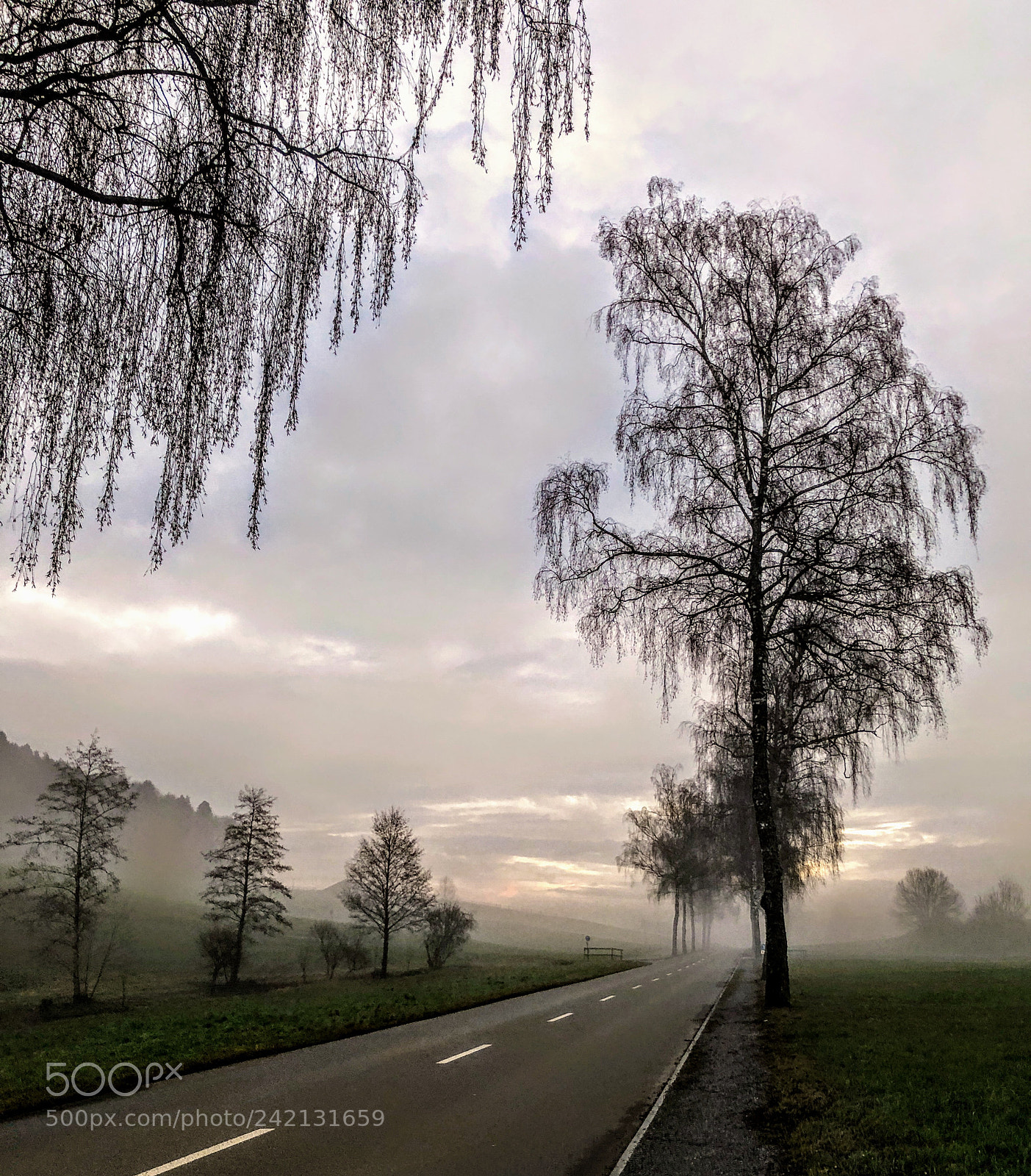 Apple iPhone X sample photo. Strasse richtung nebel photography