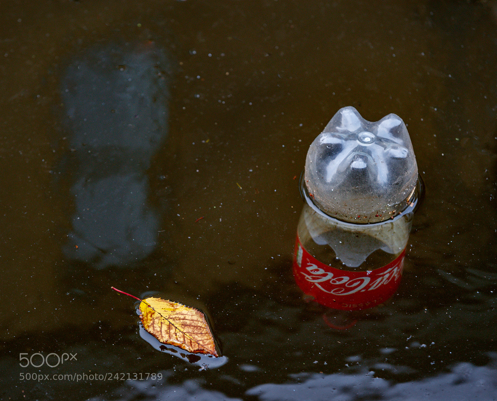 Canon EOS-1D X Mark II sample photo. Things go better photography