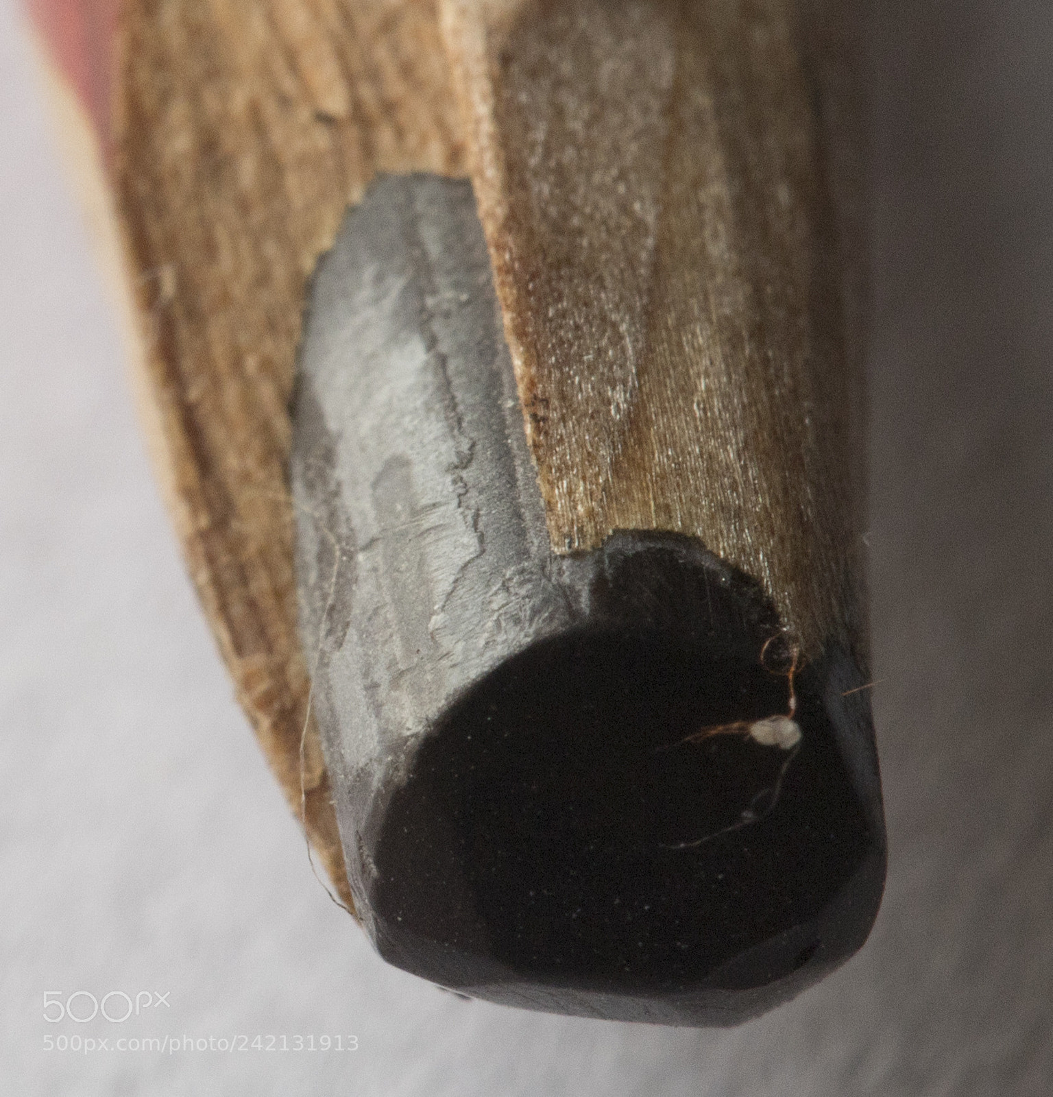 Canon EOS 6D Mark II sample photo. Macro look at stuff photography